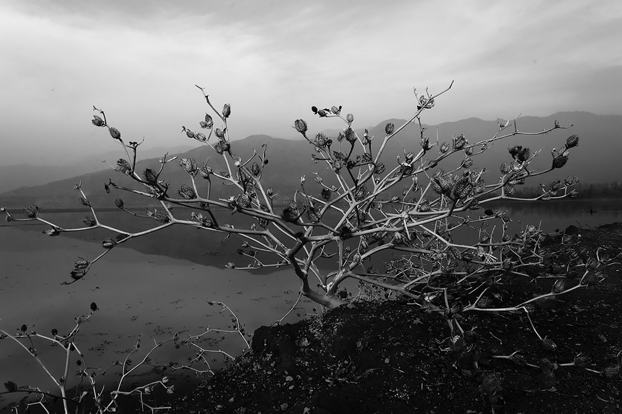 Groß (4 - 4 - 36f0d6a6-1808-4f02-a5b2-2e8b59c93819).jpeg