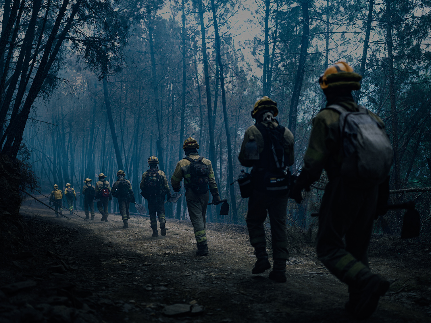 4 - fire_and_ashes_004 - 1fe0a655-205d-4d03-8e96-0613940df5c3.jpg
