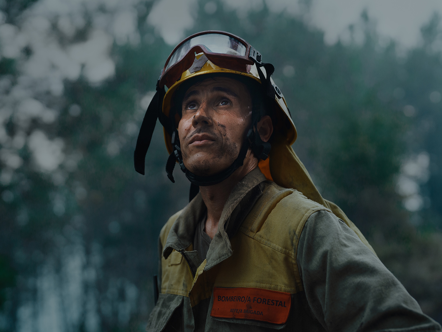 7 - fire_and_ashes_007 - df4de5f9-8538-4e86-9584-769d5c6c7d68.jpg