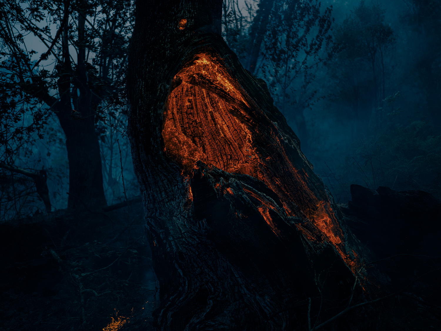 1 - fire_and_ashes_001 - f96ebf9a-ddbb-44ed-a1aa-b8ff731eb08d.jpg