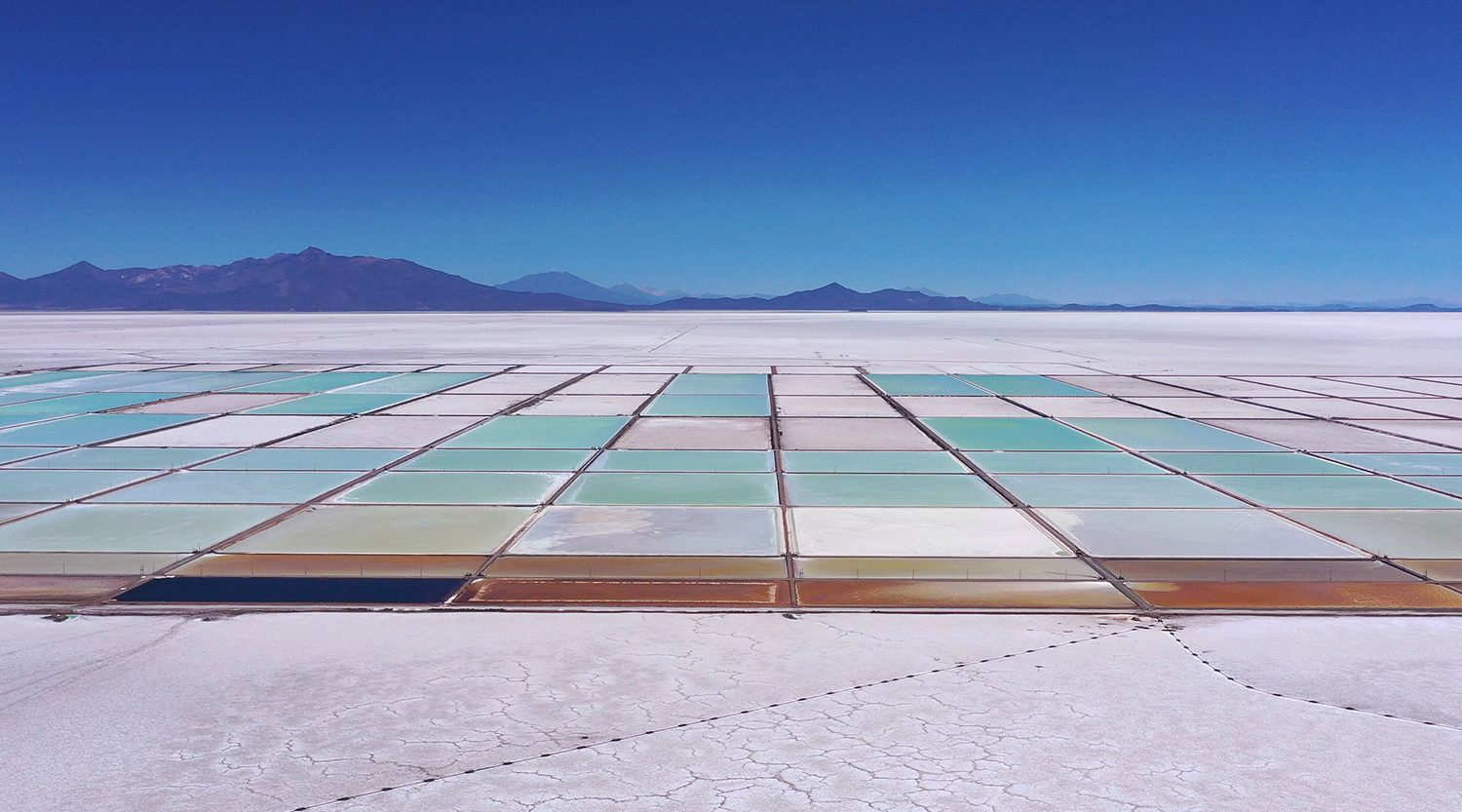 Surviving the White Gold rush in the Lithium triangle