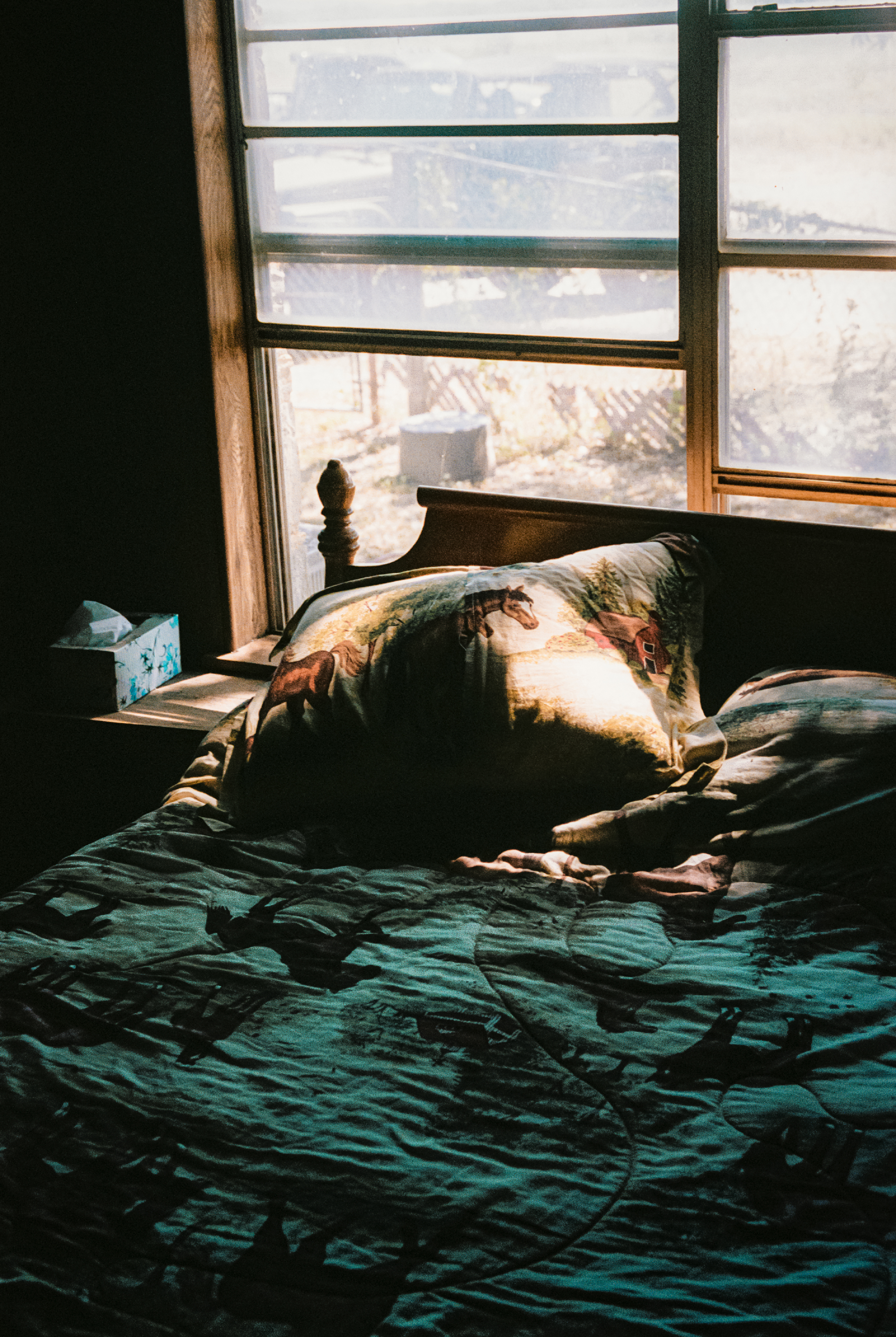 4 - Alex Bex - Memories of Dust - 11 - 7e5ca1f0-a808-404d-bd19-f887db1ce3dd.jpeg