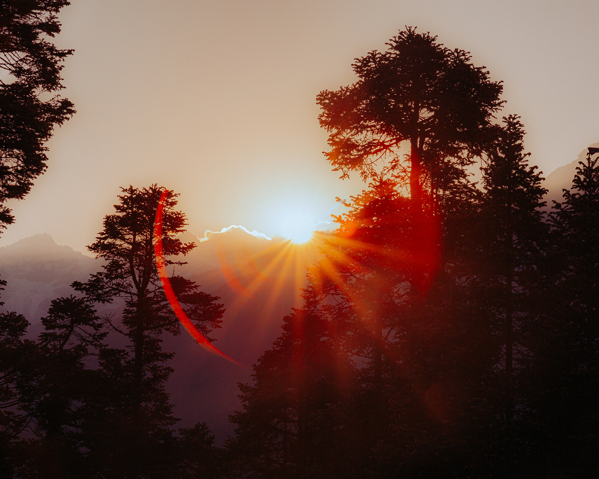 2 - Dream Within A Dream - 119f9b3d-800d-4a6c-ac59-4c719f00b000.jpg