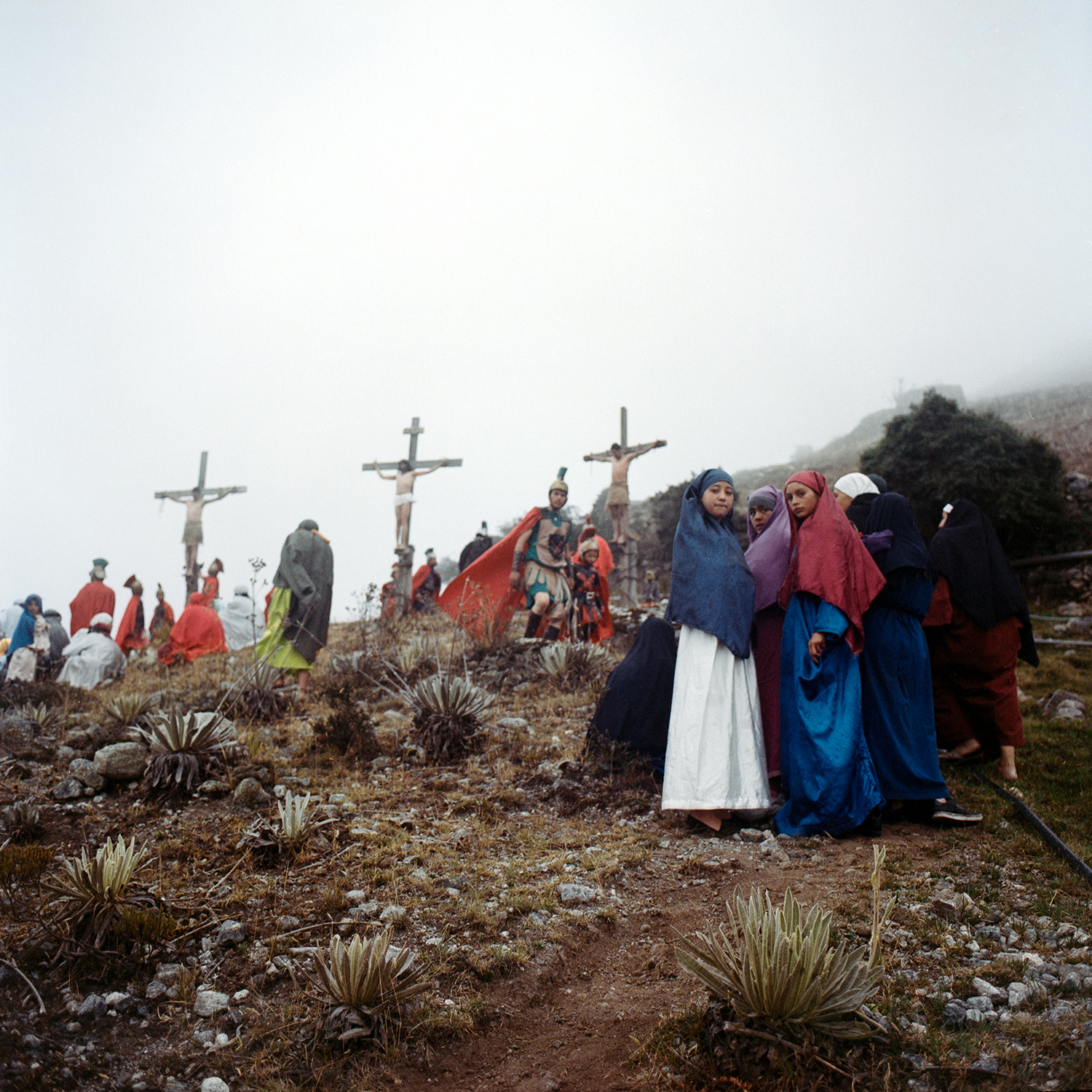 4 - ElComienzoDeLosAndes_AndreaHernandezBriceno04 - 7daf4de7-d32e-4ad3-a53b-00a188d39b6d.j