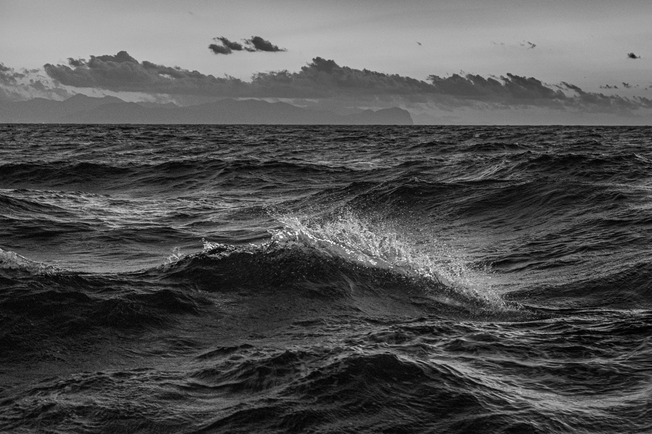 Groß (5 - 5 - 5f2e3fb2-7419-437a-910c-5742f237d1a8).jpeg