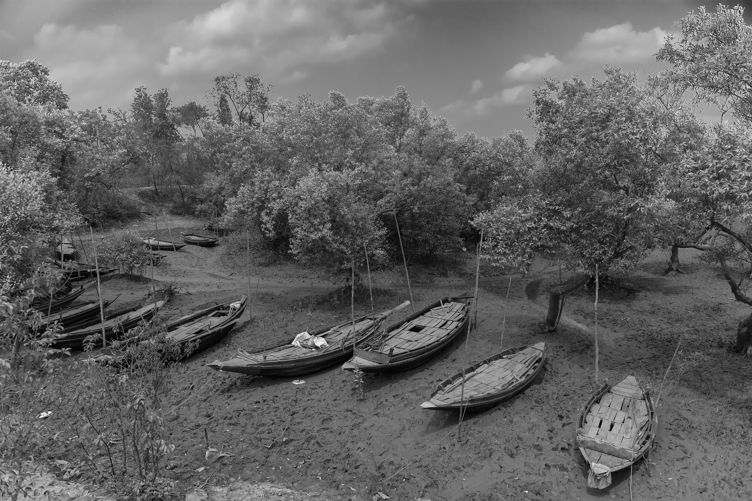The Land of Conflict