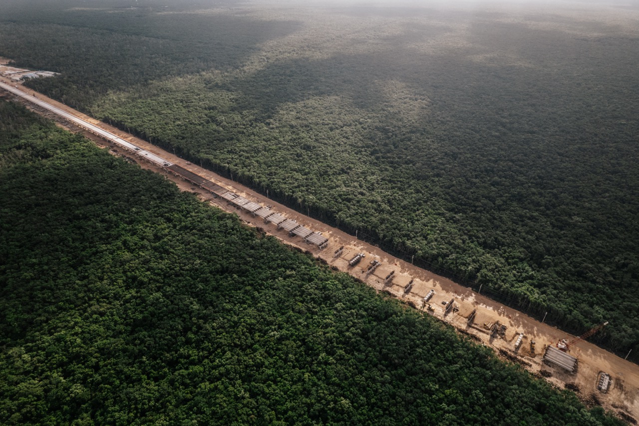 Maya Train