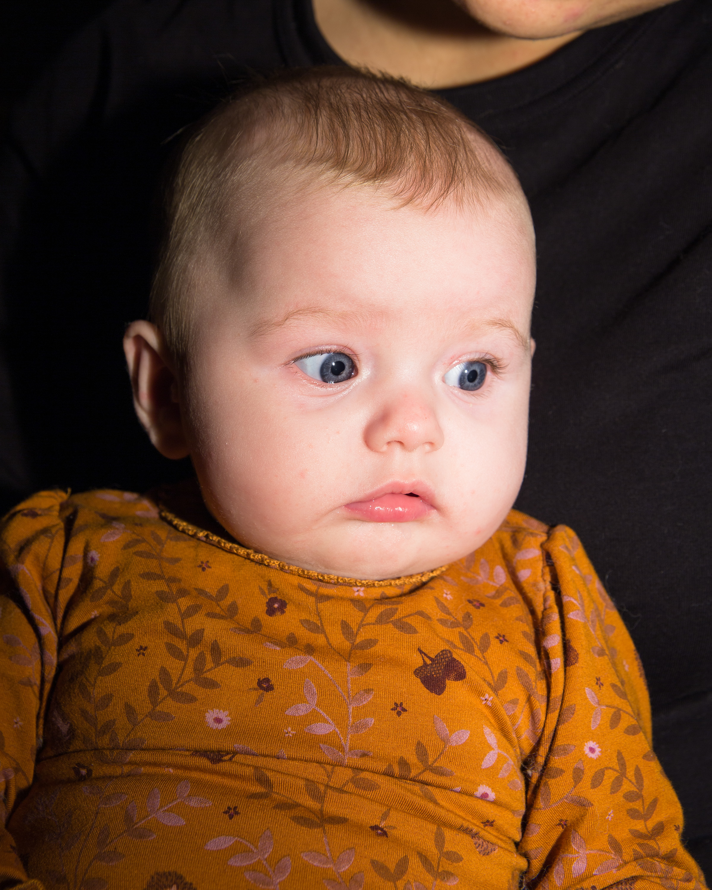 2 - Child meets bible I - bd6b670f-4437-46cf-80af-6afa5b1e9189.jpg