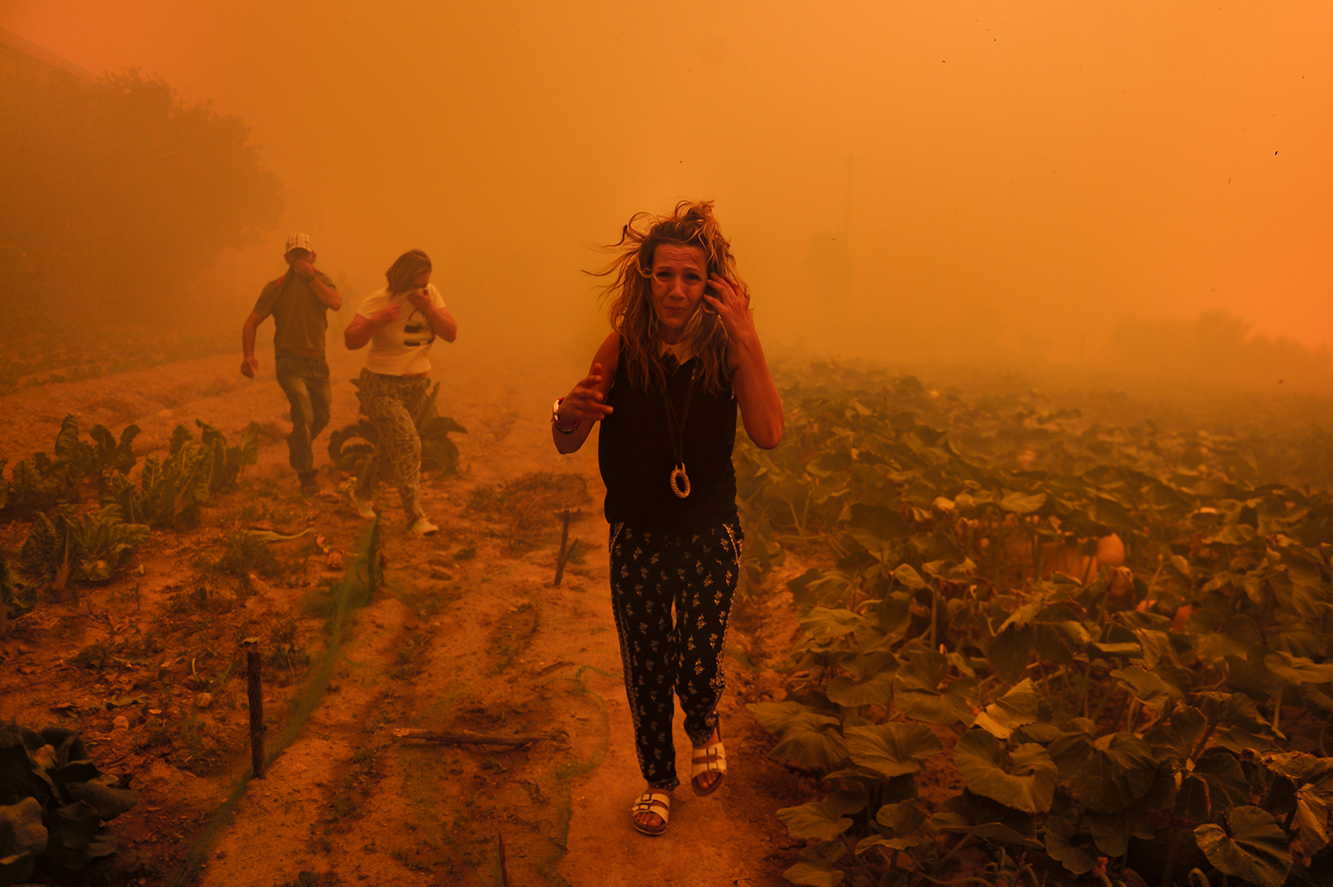 Burned Land