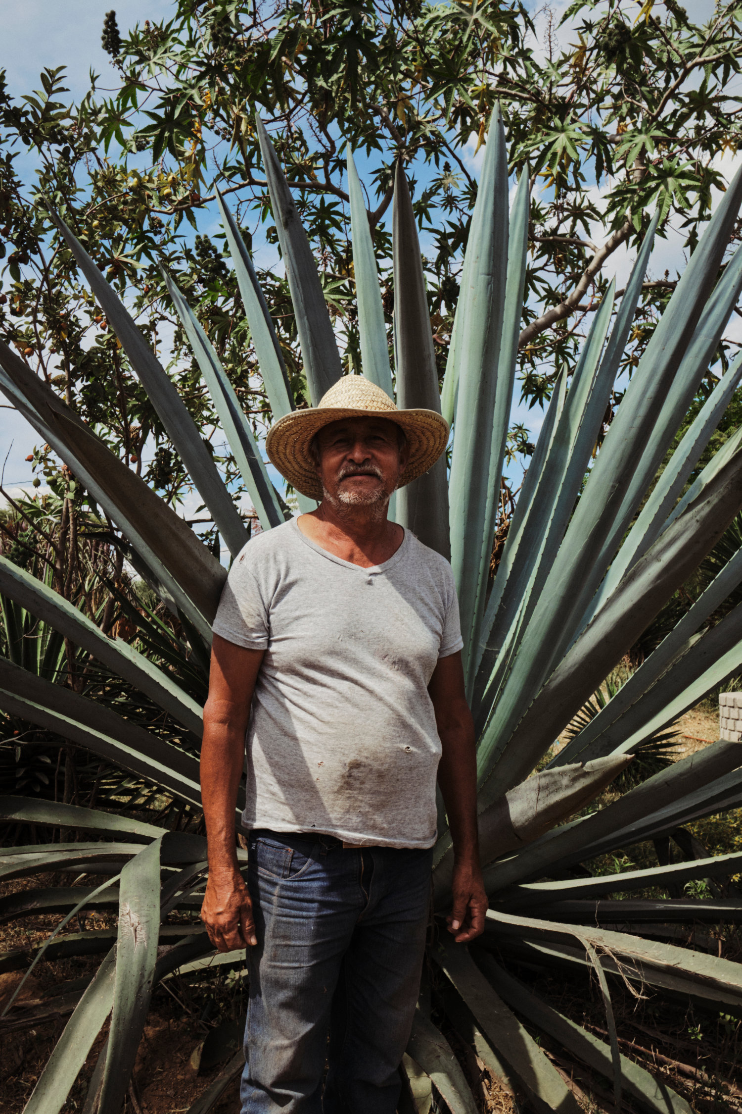 MAESTROS MEZCALEROS