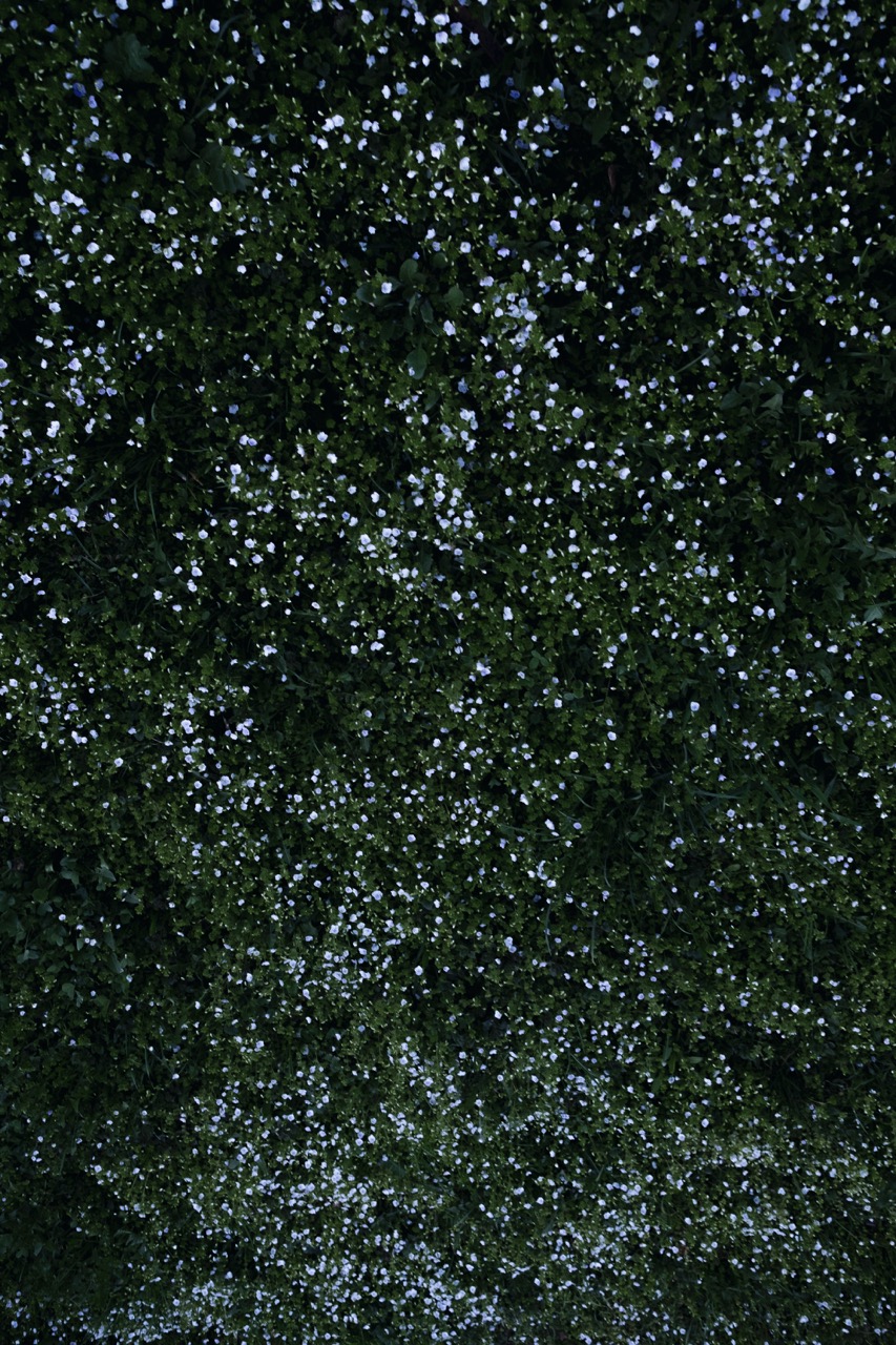 Groß (3 - Circle-03 - b91c3e83-5a86-44d0-9b0b-49b7eb046bd1).jpeg
