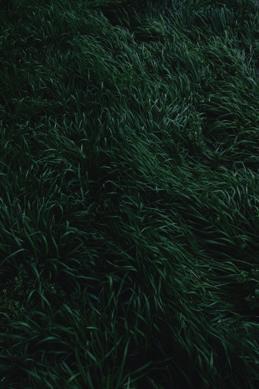 Groß (6 - Circle-16 - 23f6edf4-b048-4c8f-93c0-aa9b10c92b39).jpeg