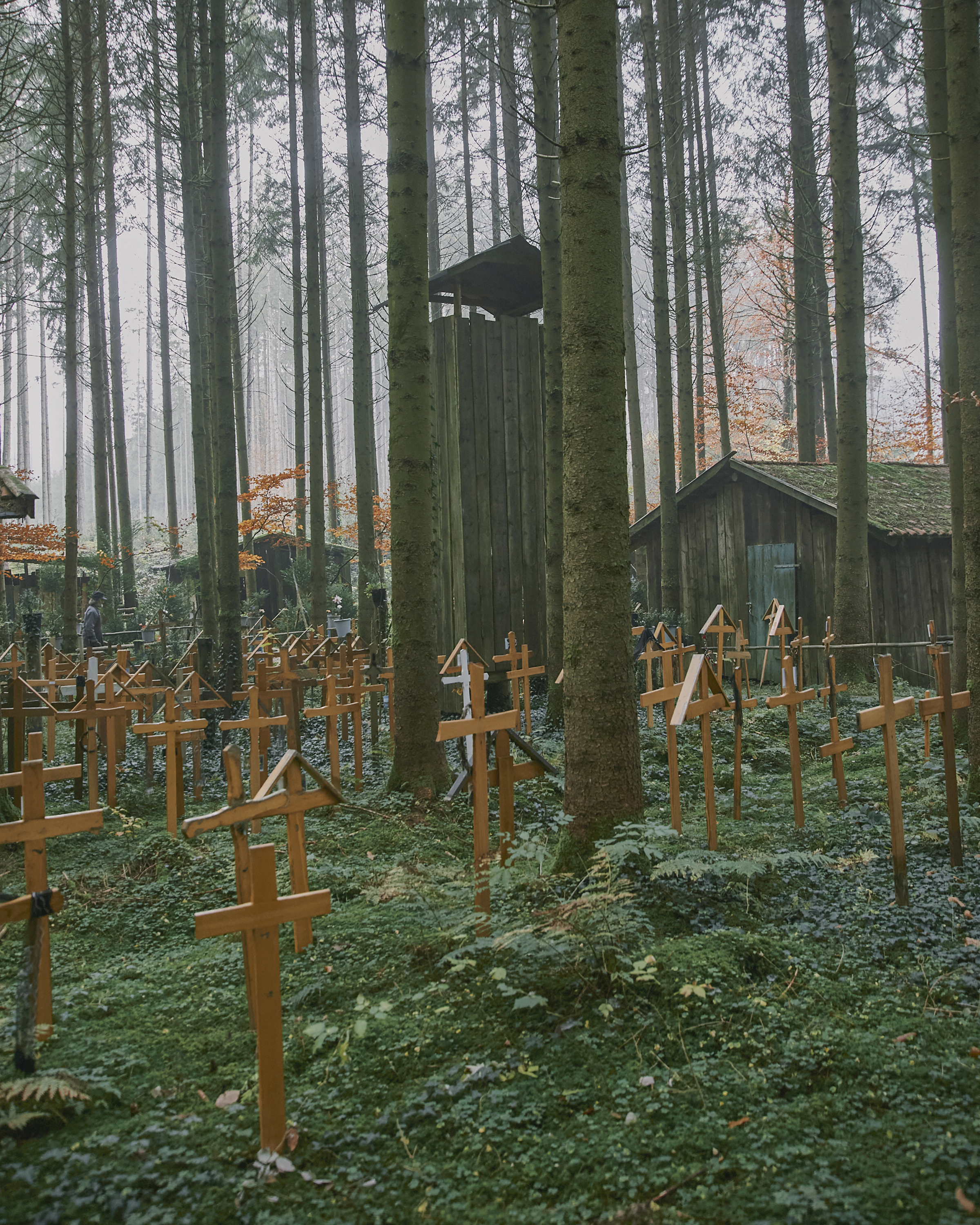 Between Heaven and Earth - The Hermit Heinrich Maucher