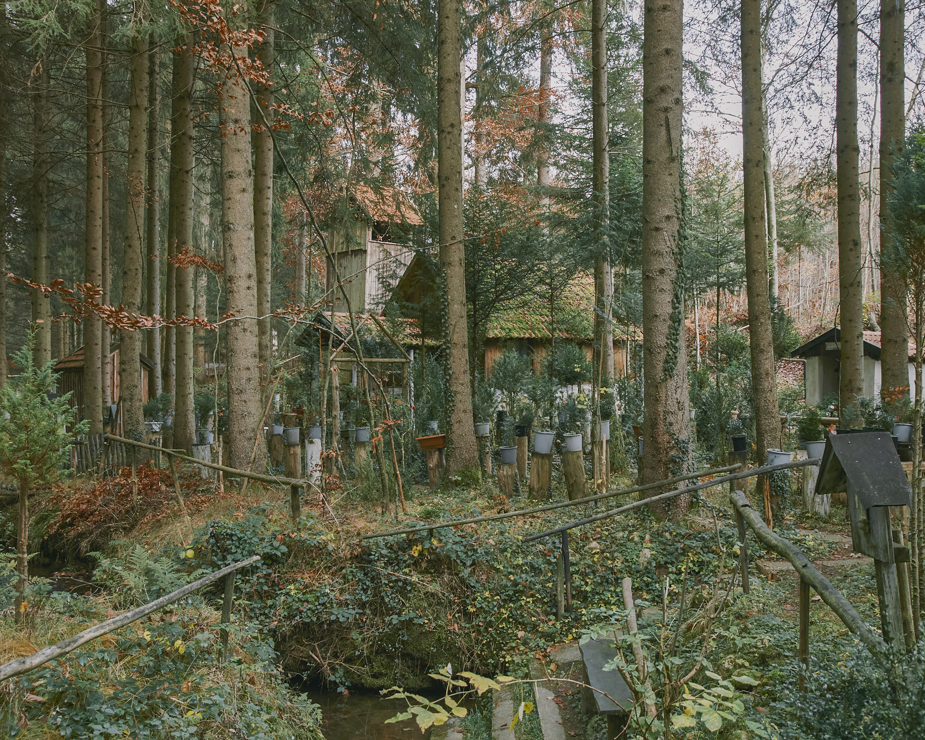 Between Heaven and Earth - The Hermit Heinrich Maucher