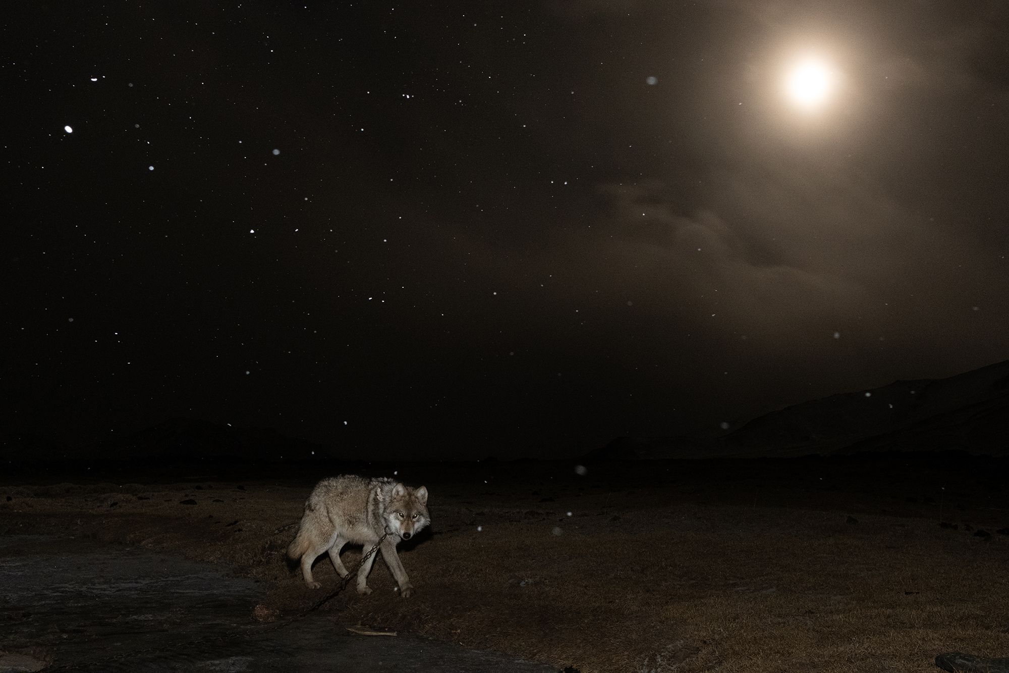 The World at Night