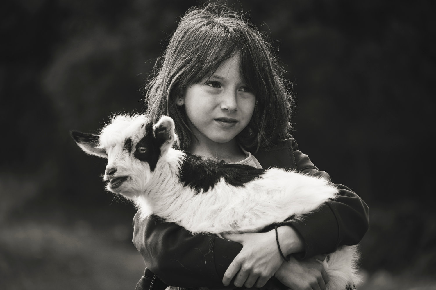 Shepherds