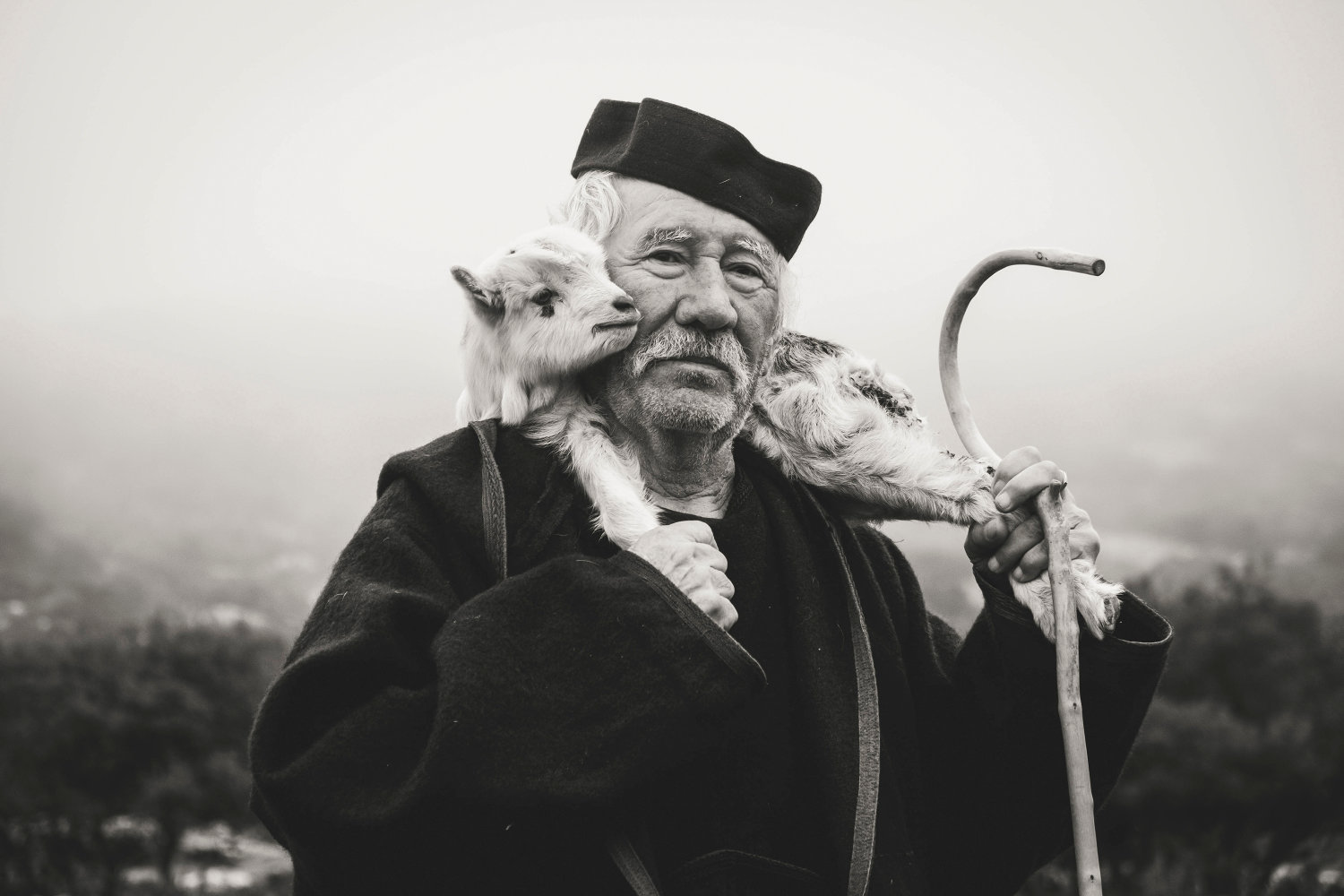 Shepherds