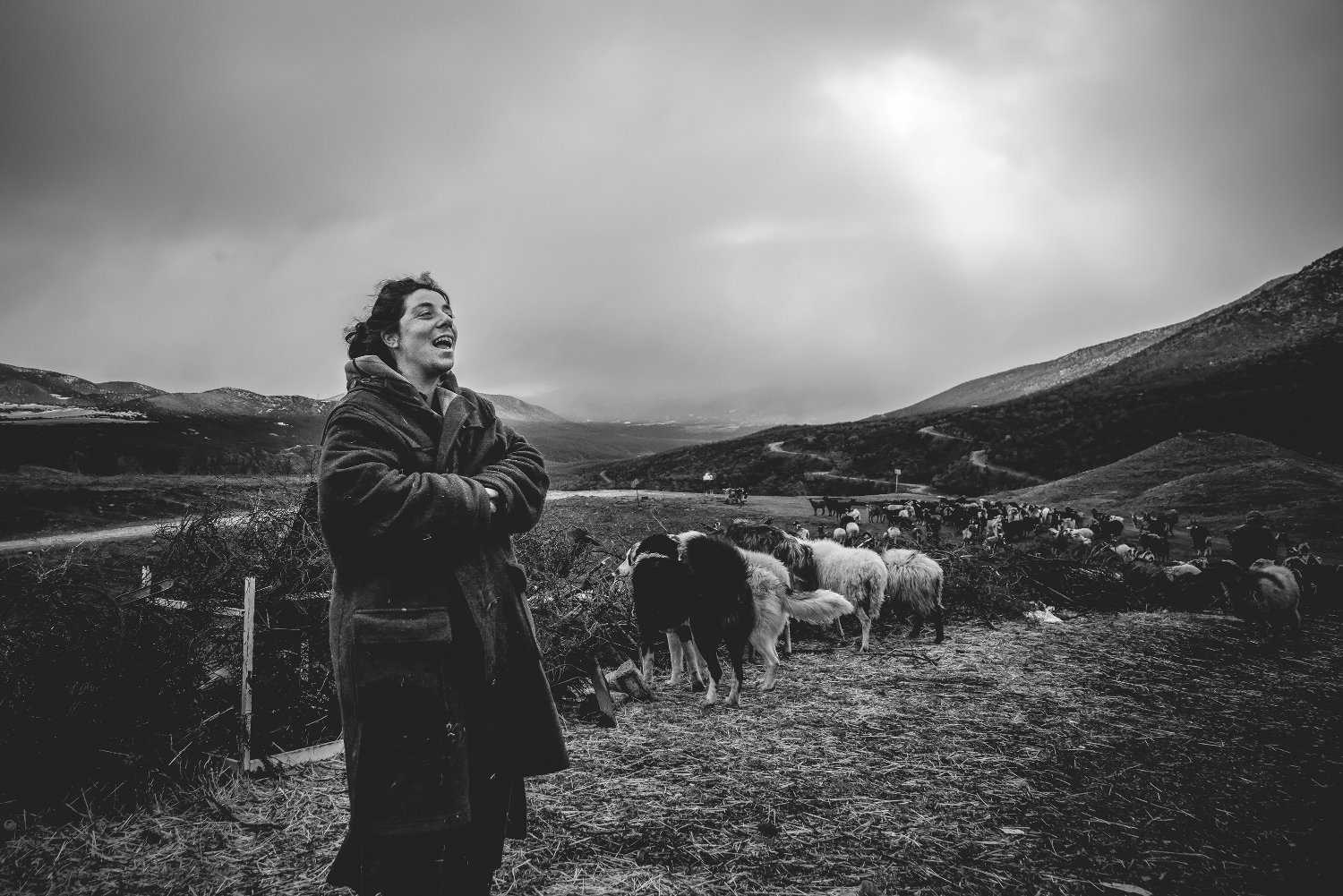 Shepherds