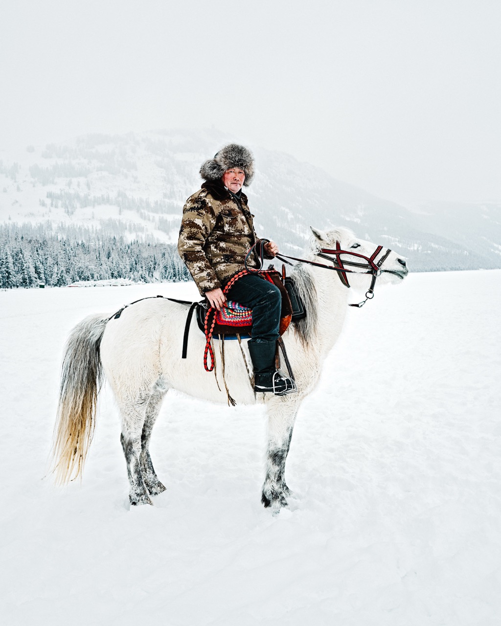Echoes of Altay