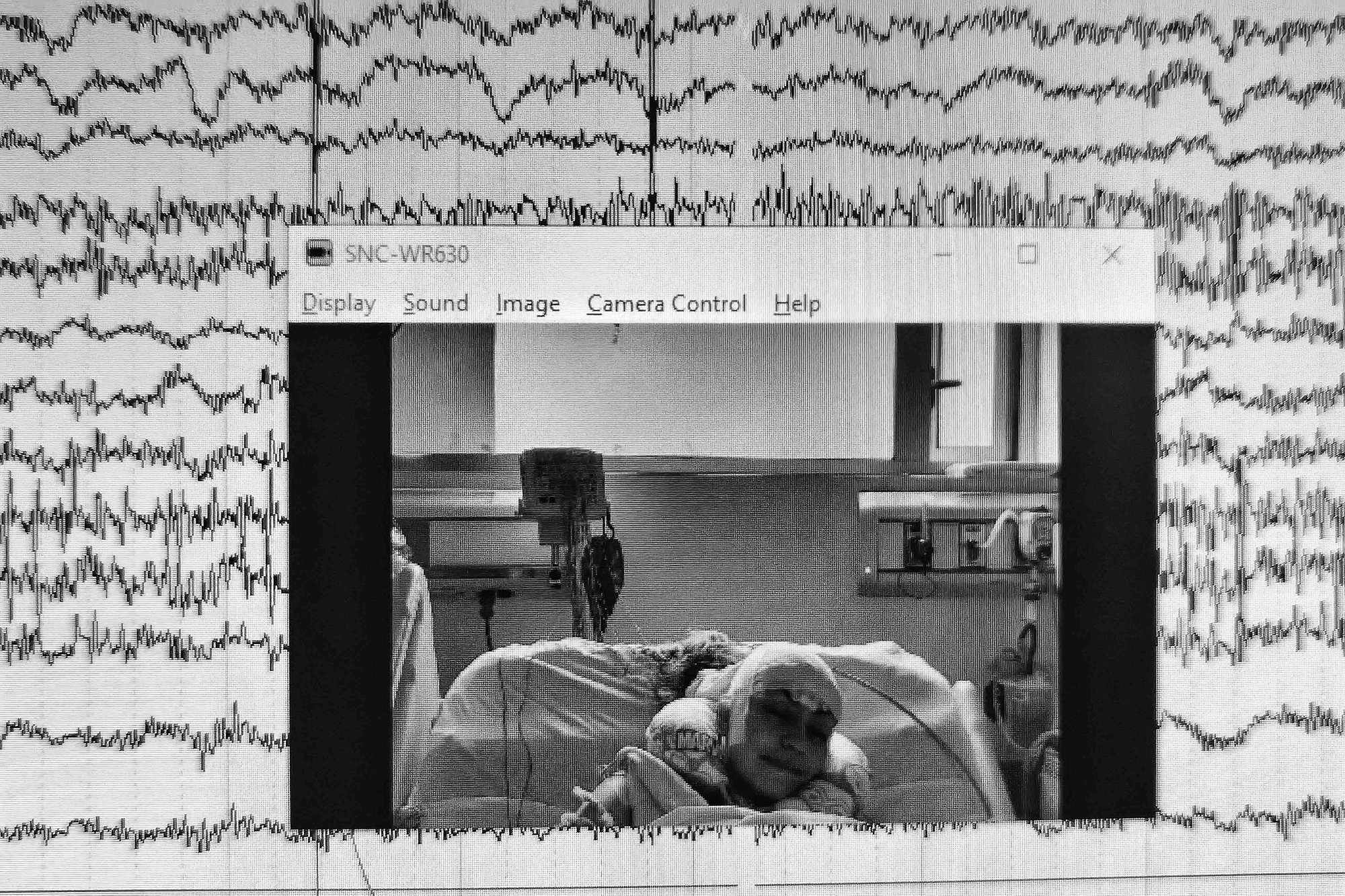 4 - SEIZURE_04 - 813e6555-ebc9-4ea0-a17a-903595ca6115.jpg