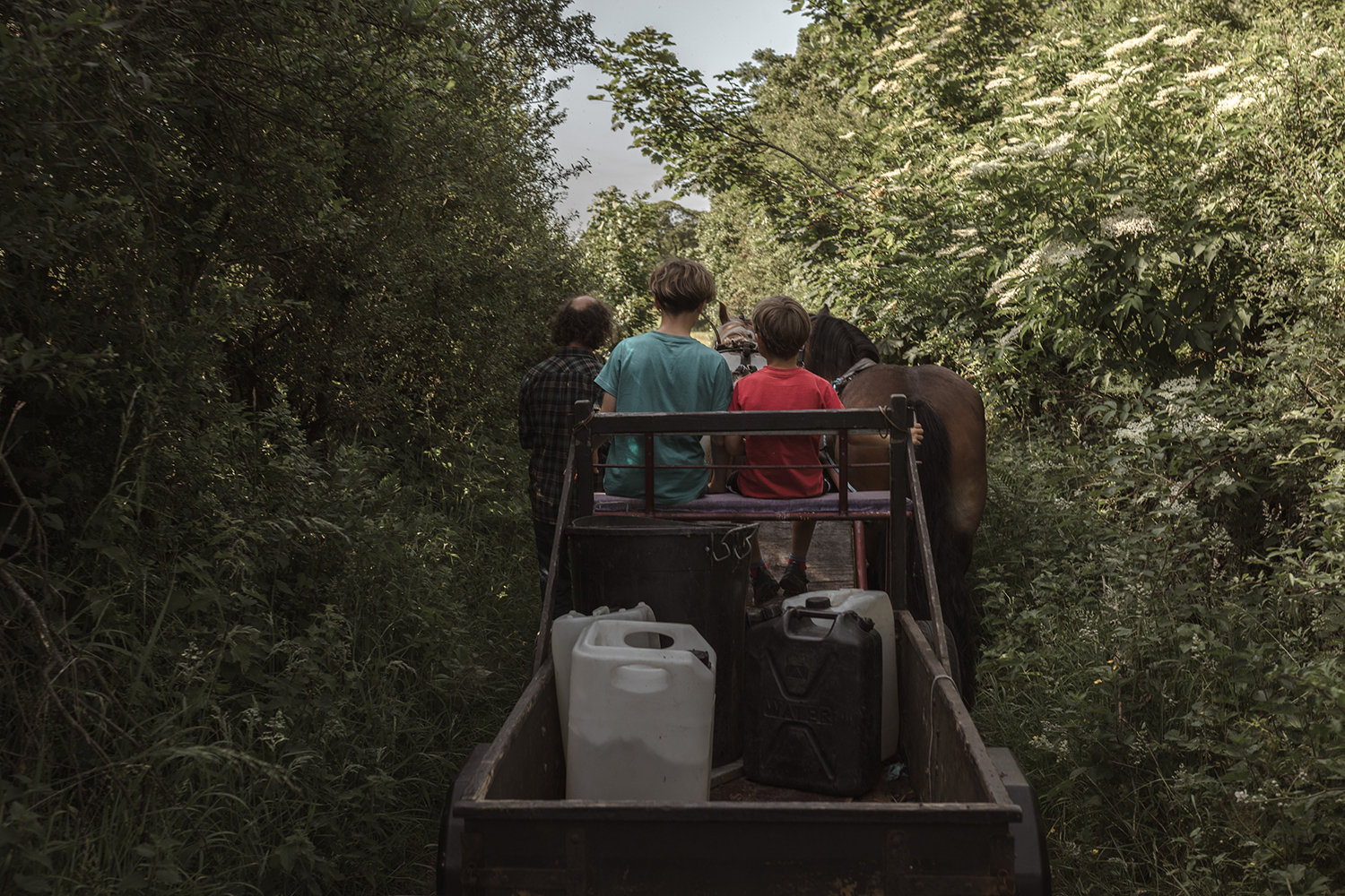 The Last Travellers