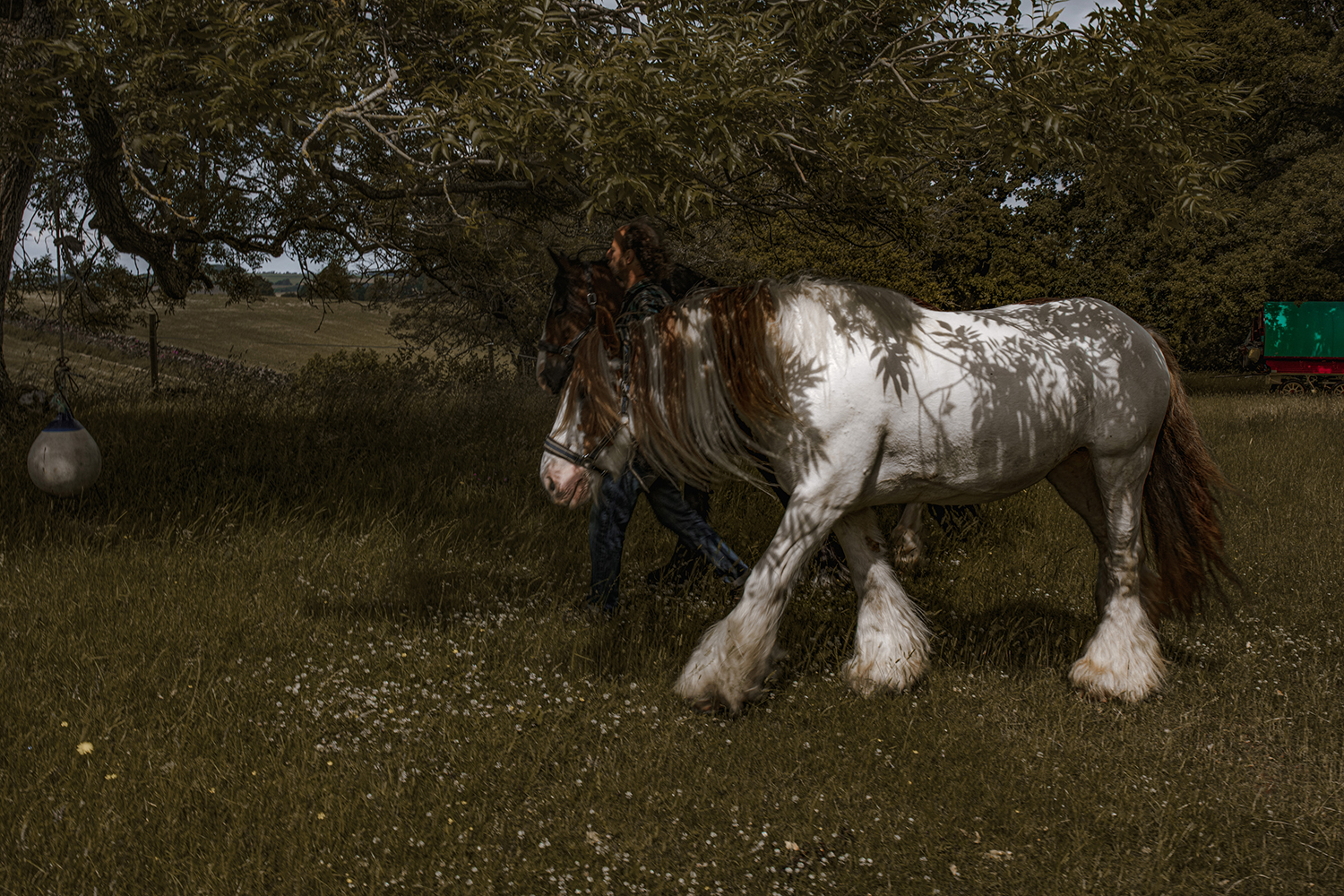 The Last Travellers
