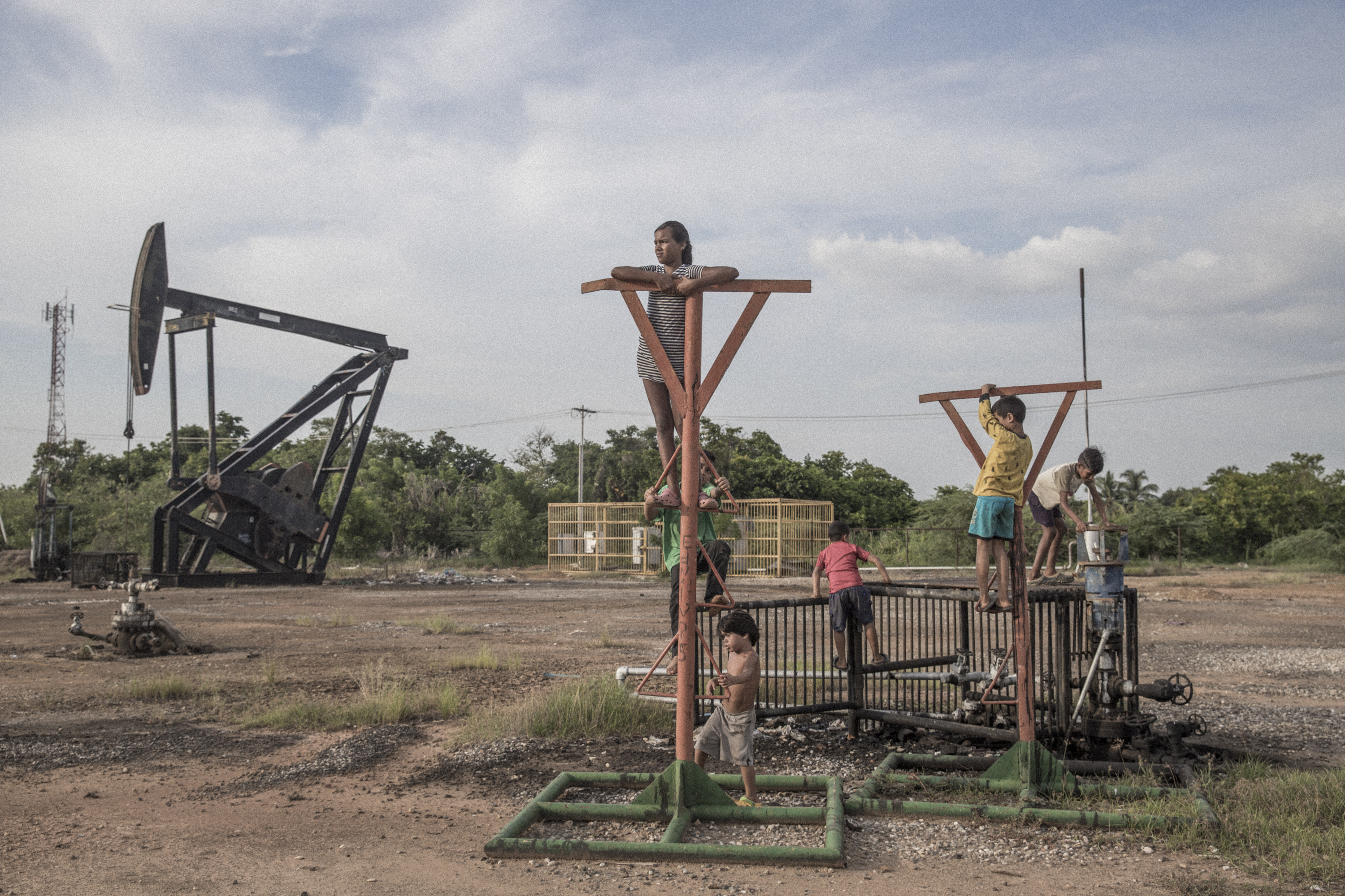 I Can't Hear the Birds
