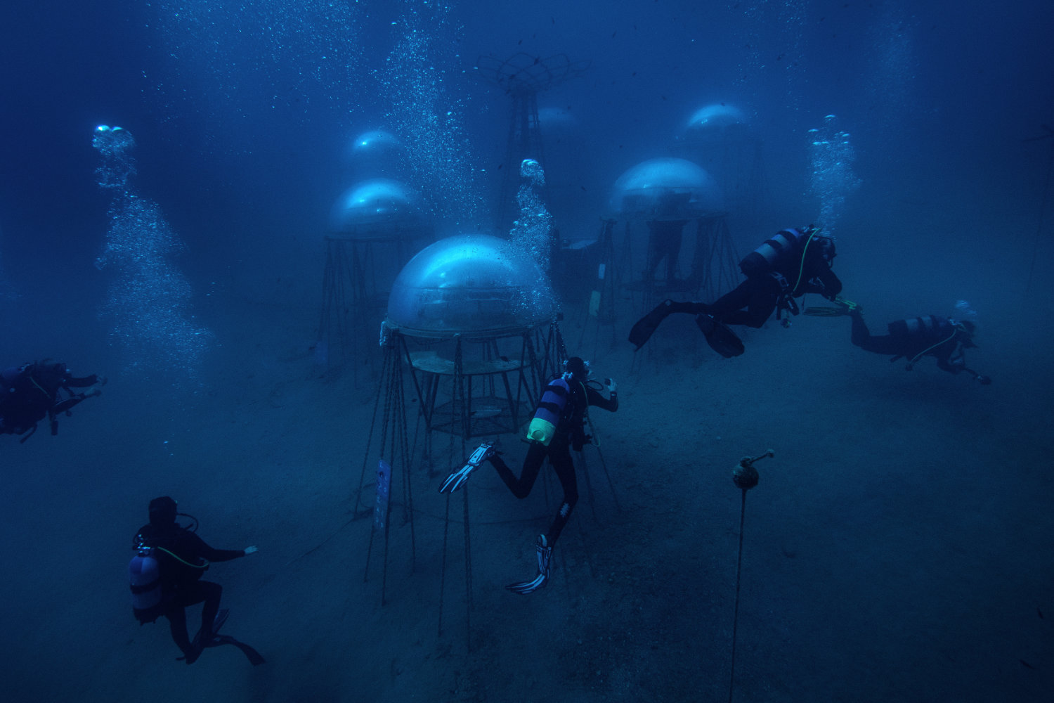 Nemo’s Garden