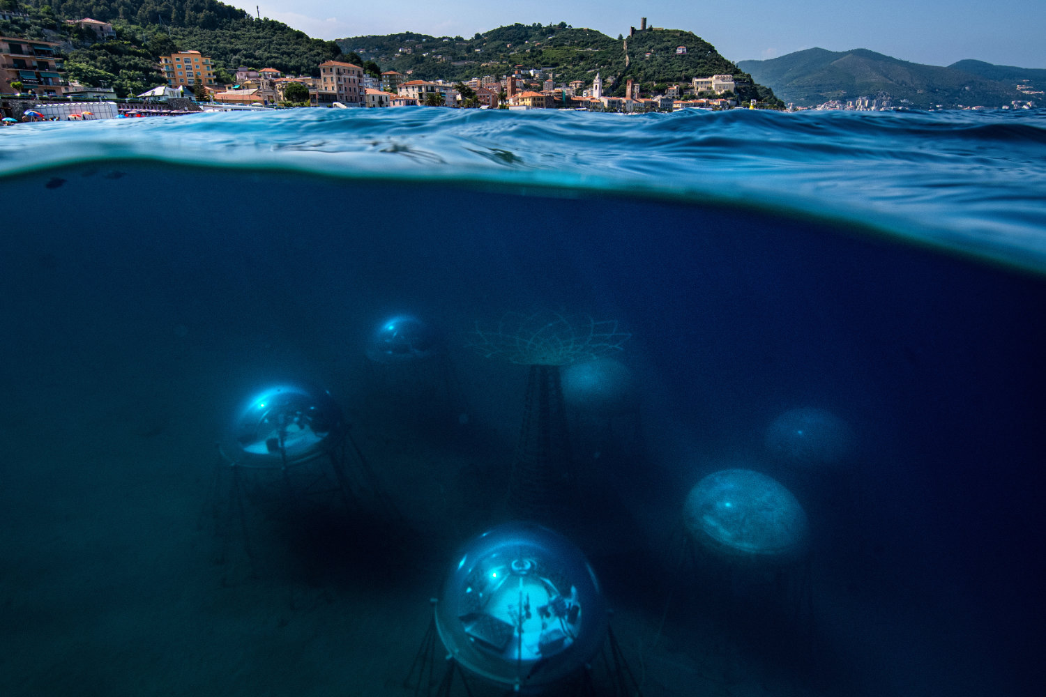Nemo’s Garden