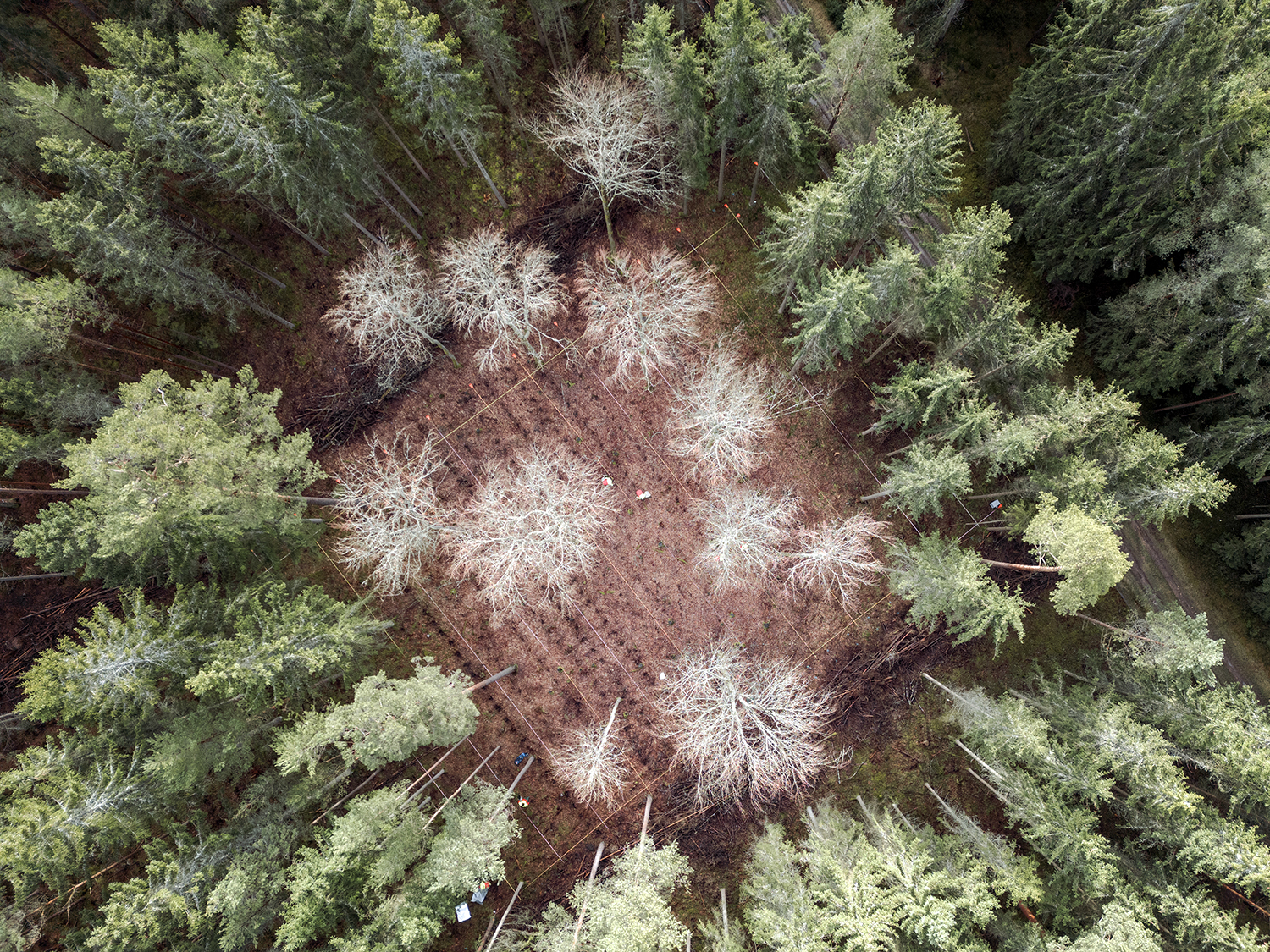 Fragments Of Climate Change