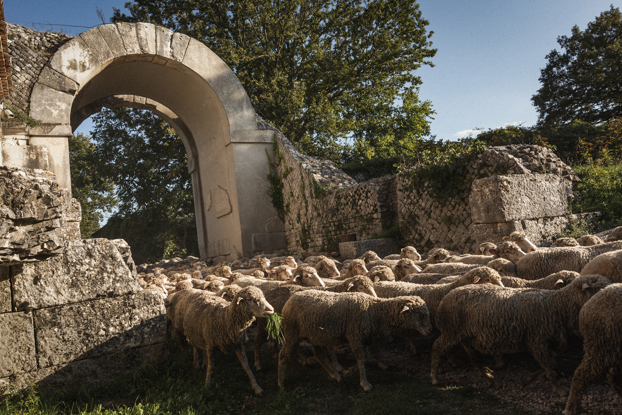 The last transhumance