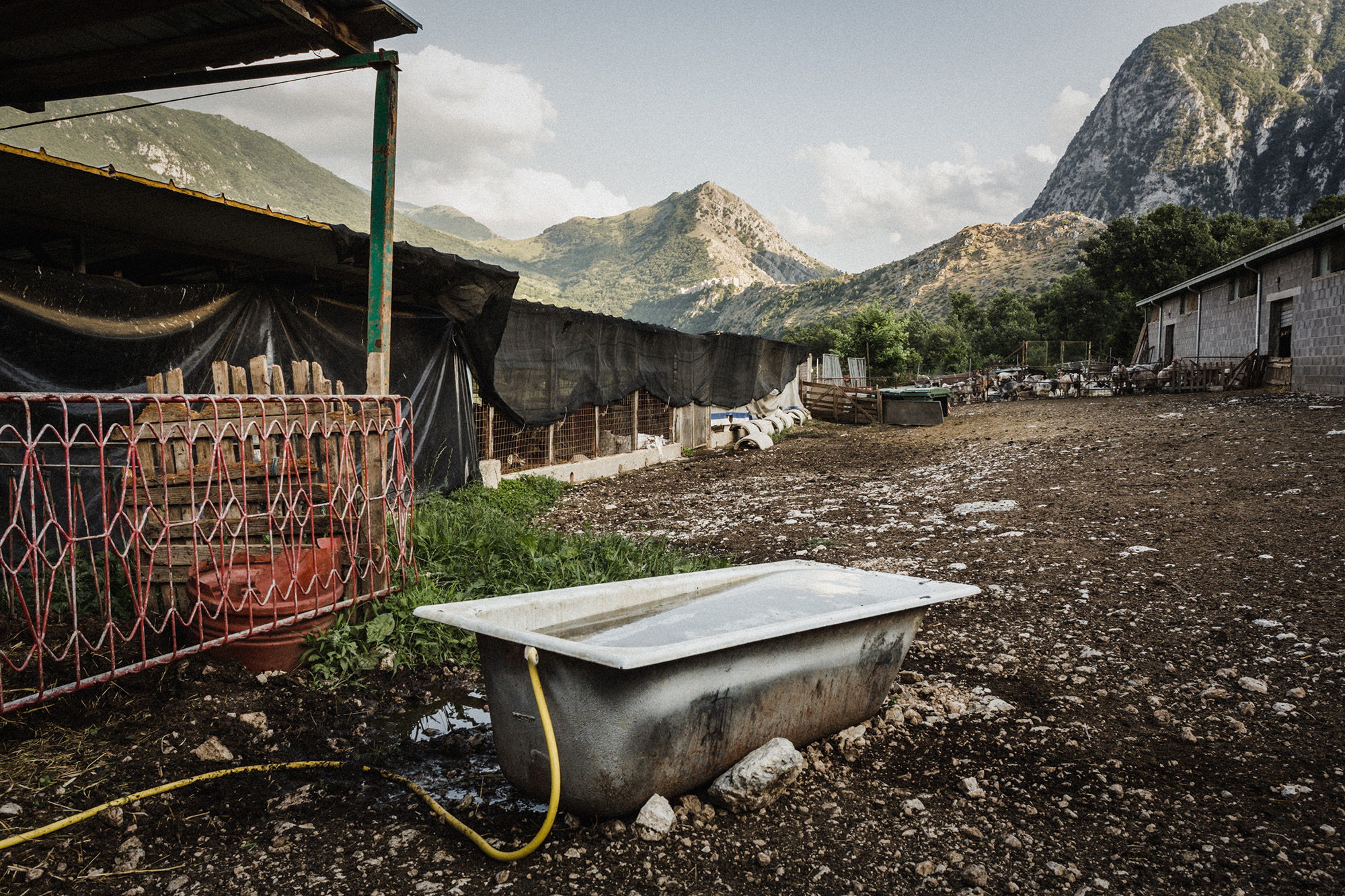 The last transhumance