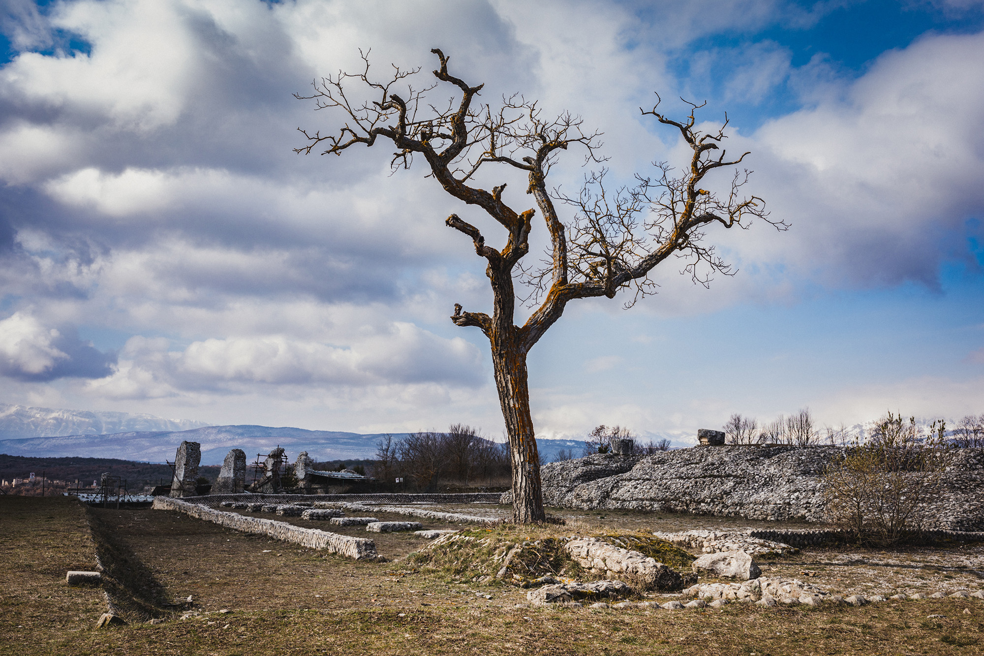 The last transhumance