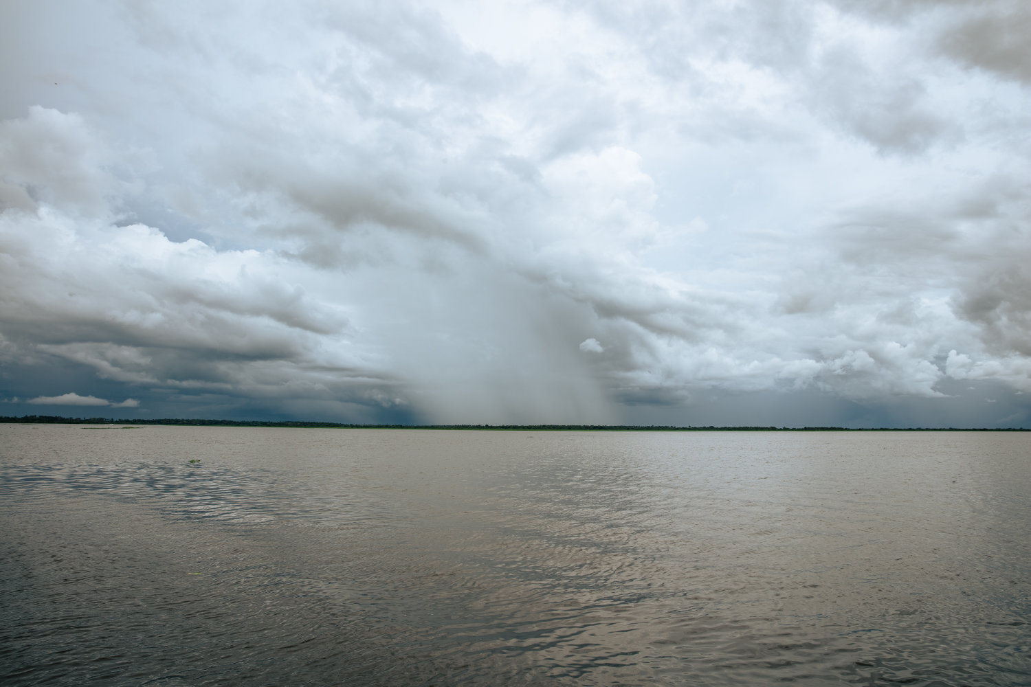 The Amazon's fringe