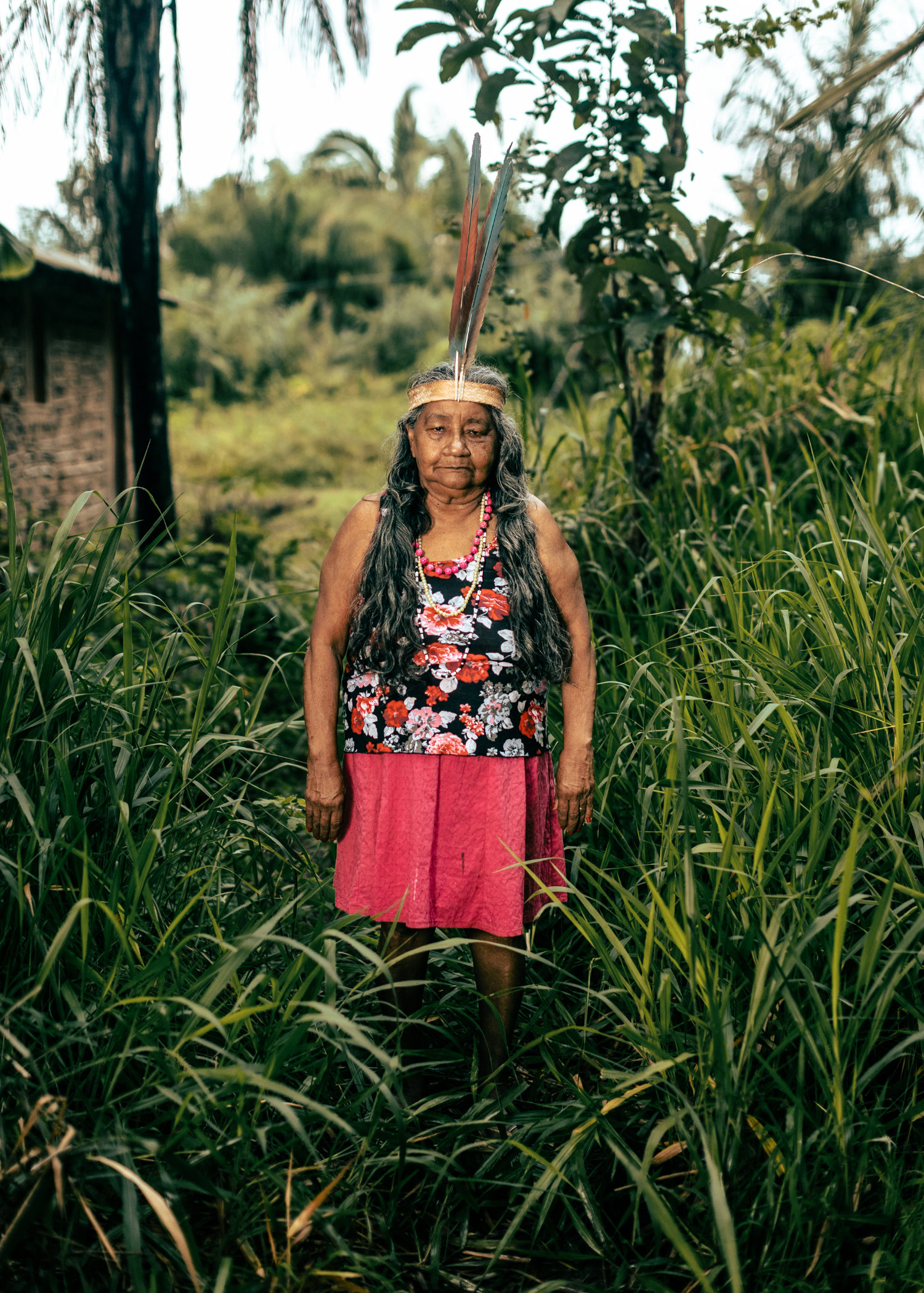 The Amazon's fringe
