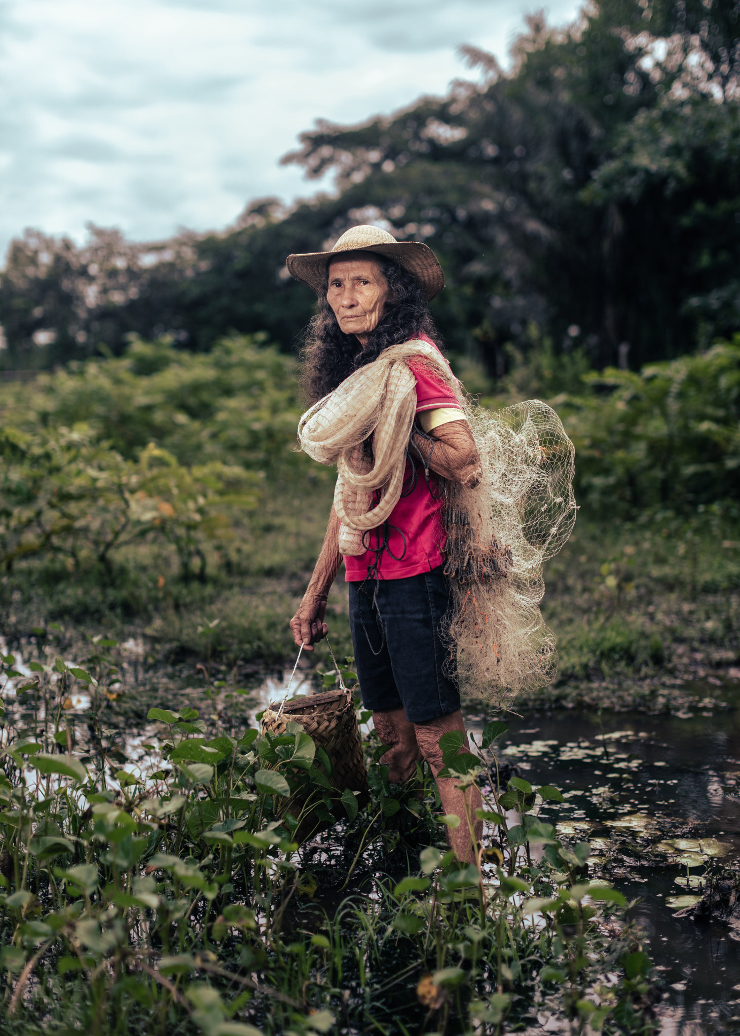 The Amazon's fringe