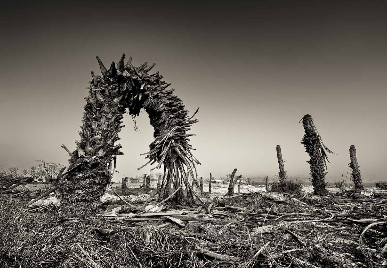 The Dead Sea is Dying