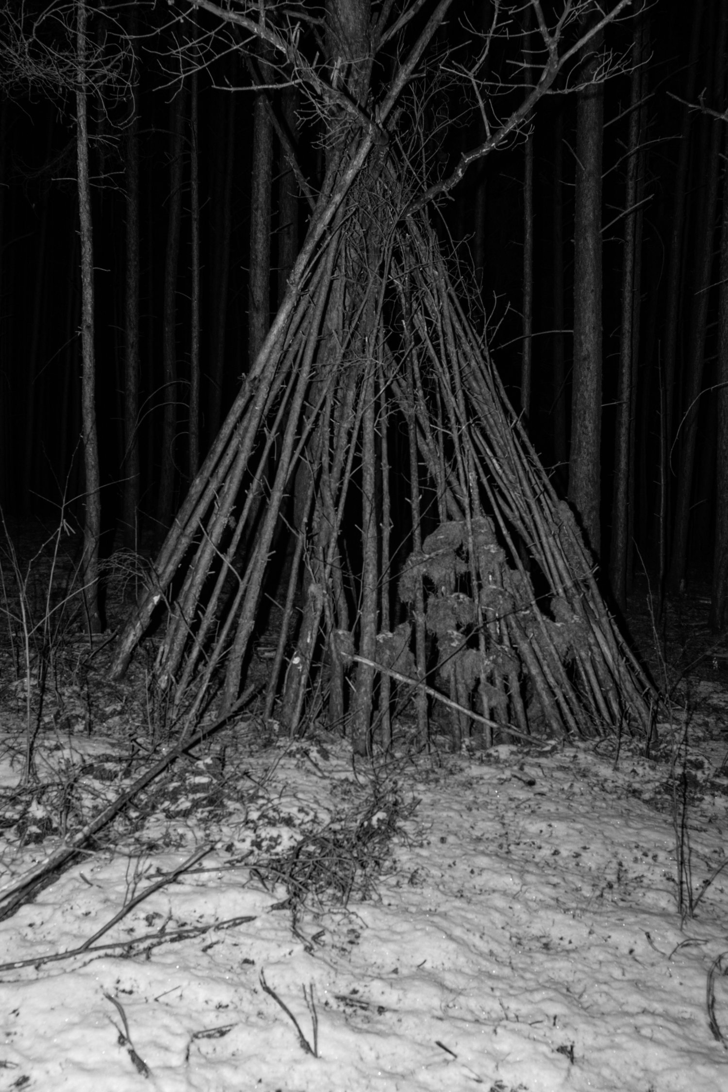 Der letzte Schnee