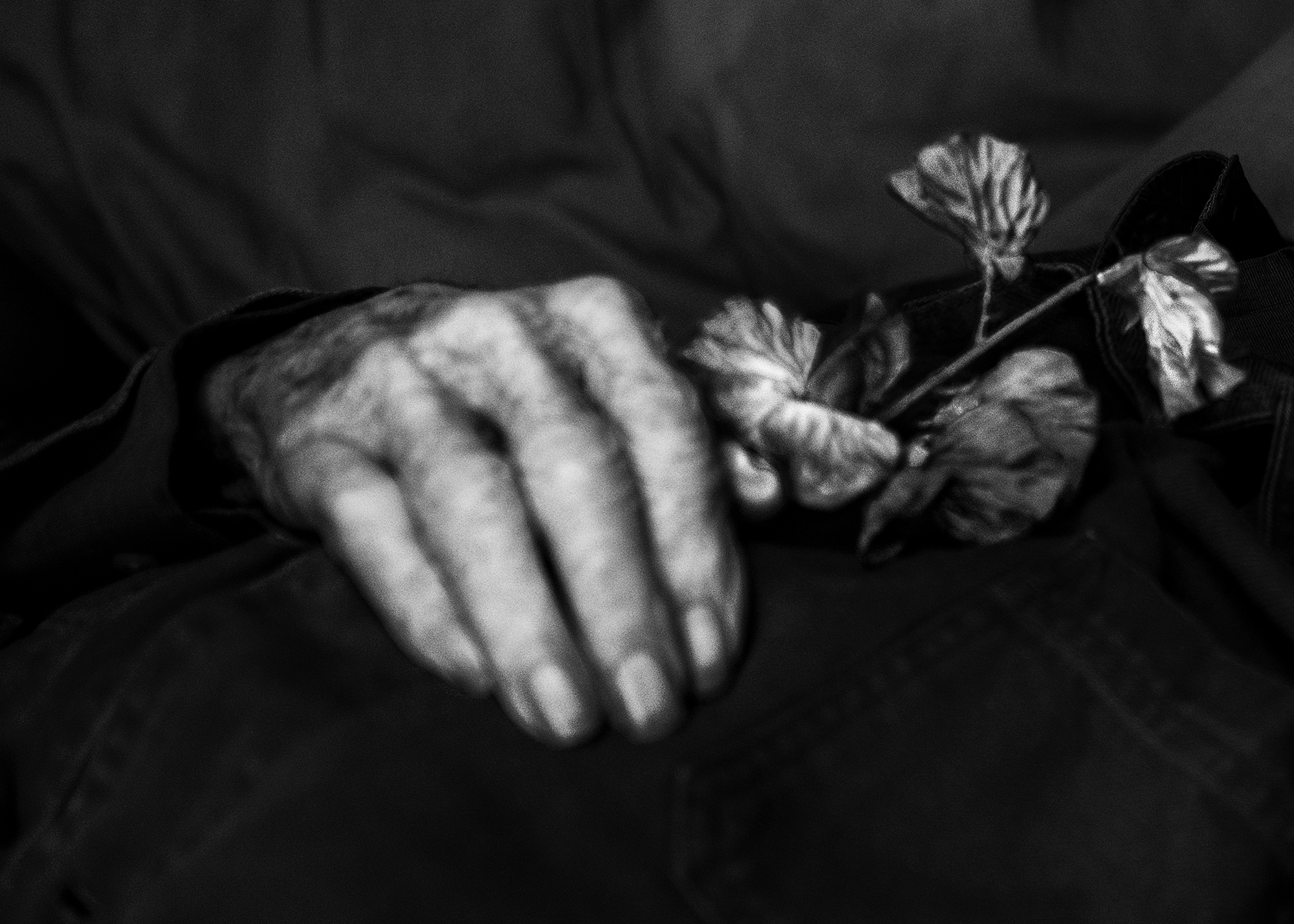 3 - Farewell - 18f85d45-e89d-4582-846b-456ec4c42877.jpg