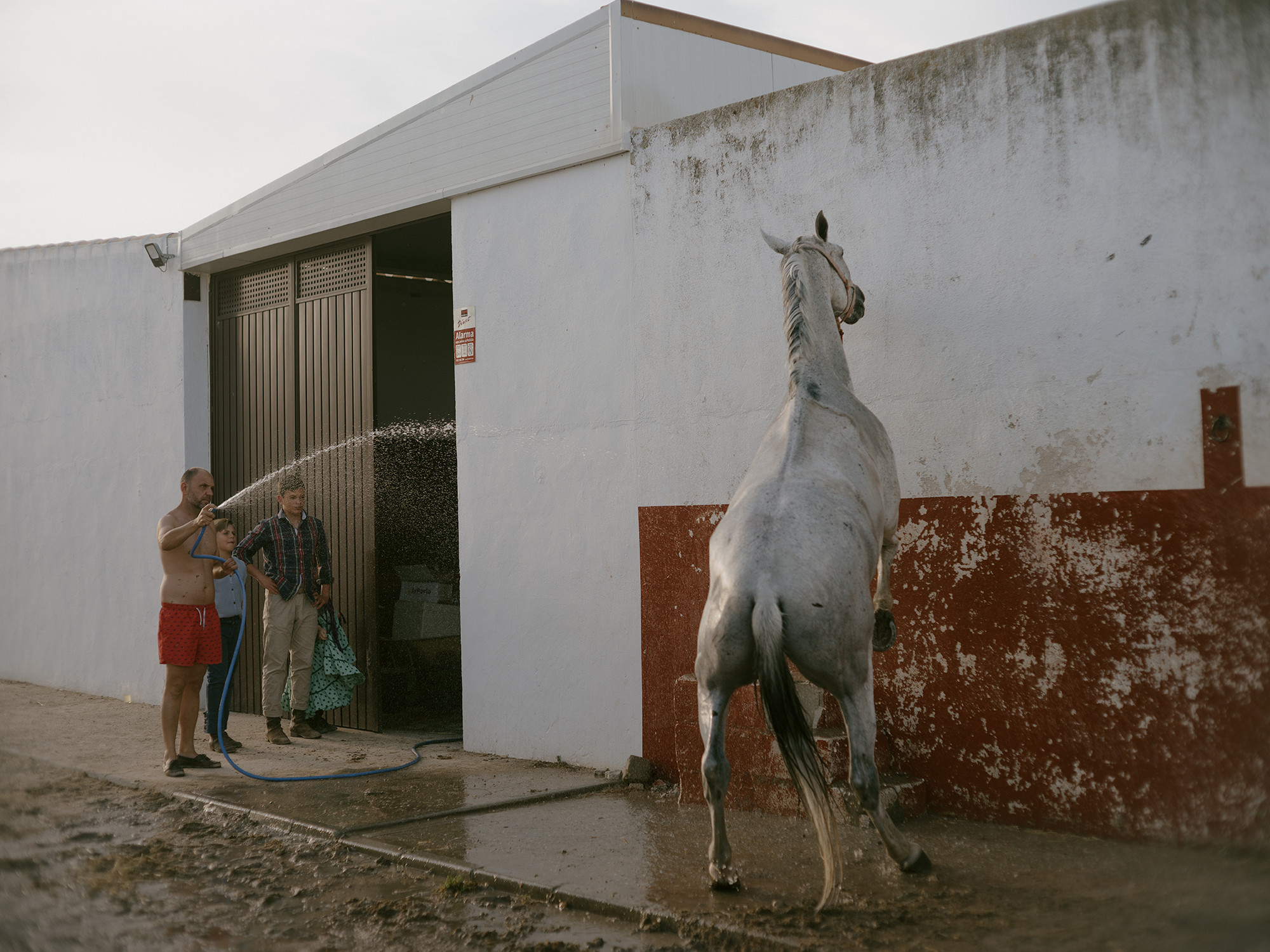 10 - Man bathing his horse - 3c21faa8-b416-46c2-bcda-35e10ccf0731.jpg