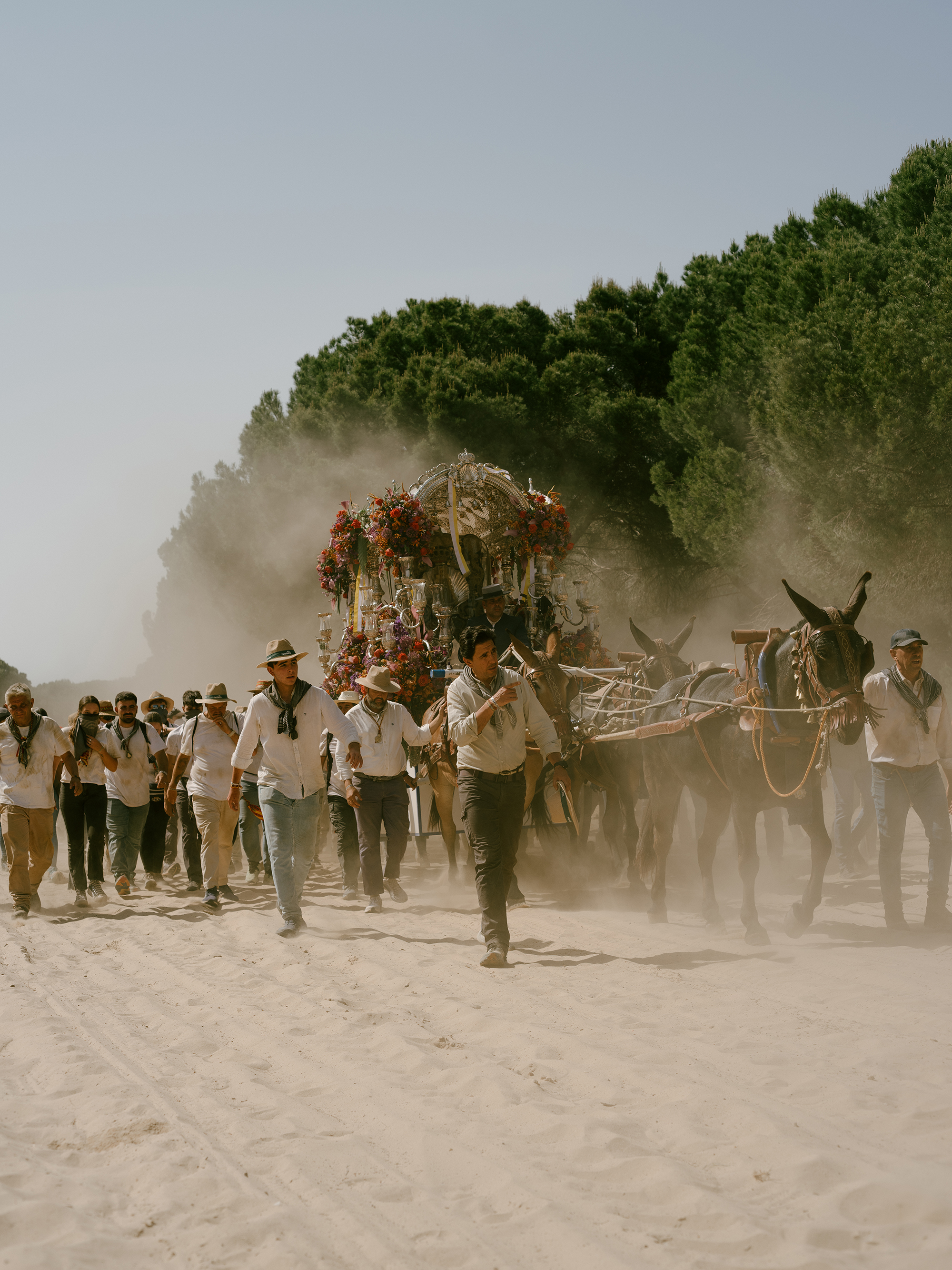 1 - pilgrims in the dust - c18fb015-4c4c-4543-b58f-5a7b5586dfdf.jpg