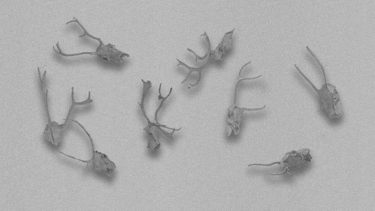 Groß (7 - Infinite Loop  - 54d527a3-d22b-4009-b906-c021ca5c3d7a).jpeg