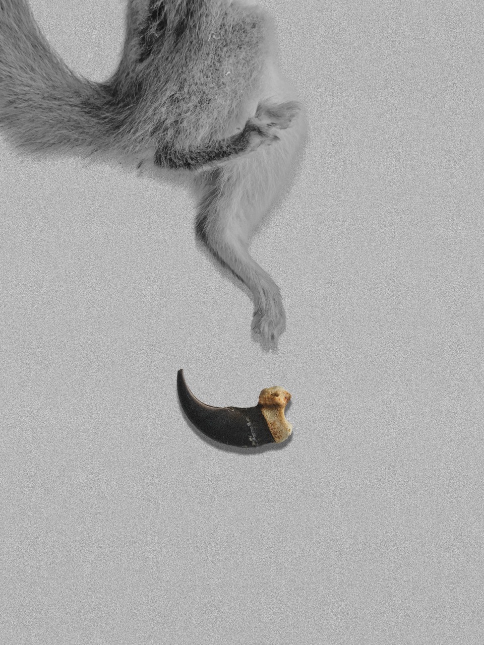 Groß (10 - Paradox of Urus Arctos - 6b4cc74f-b756-436b-849c-386f4948ea64).jpeg