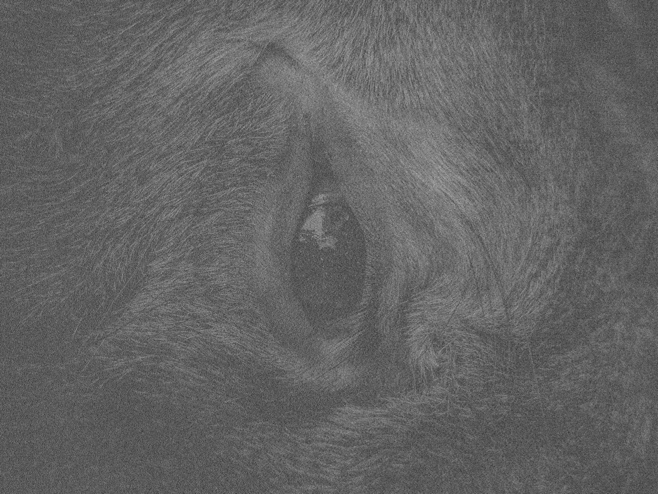 Groß (9 - Border Of Attachment - 67f4378b-705d-429c-acee-f936add95fe8).jpeg