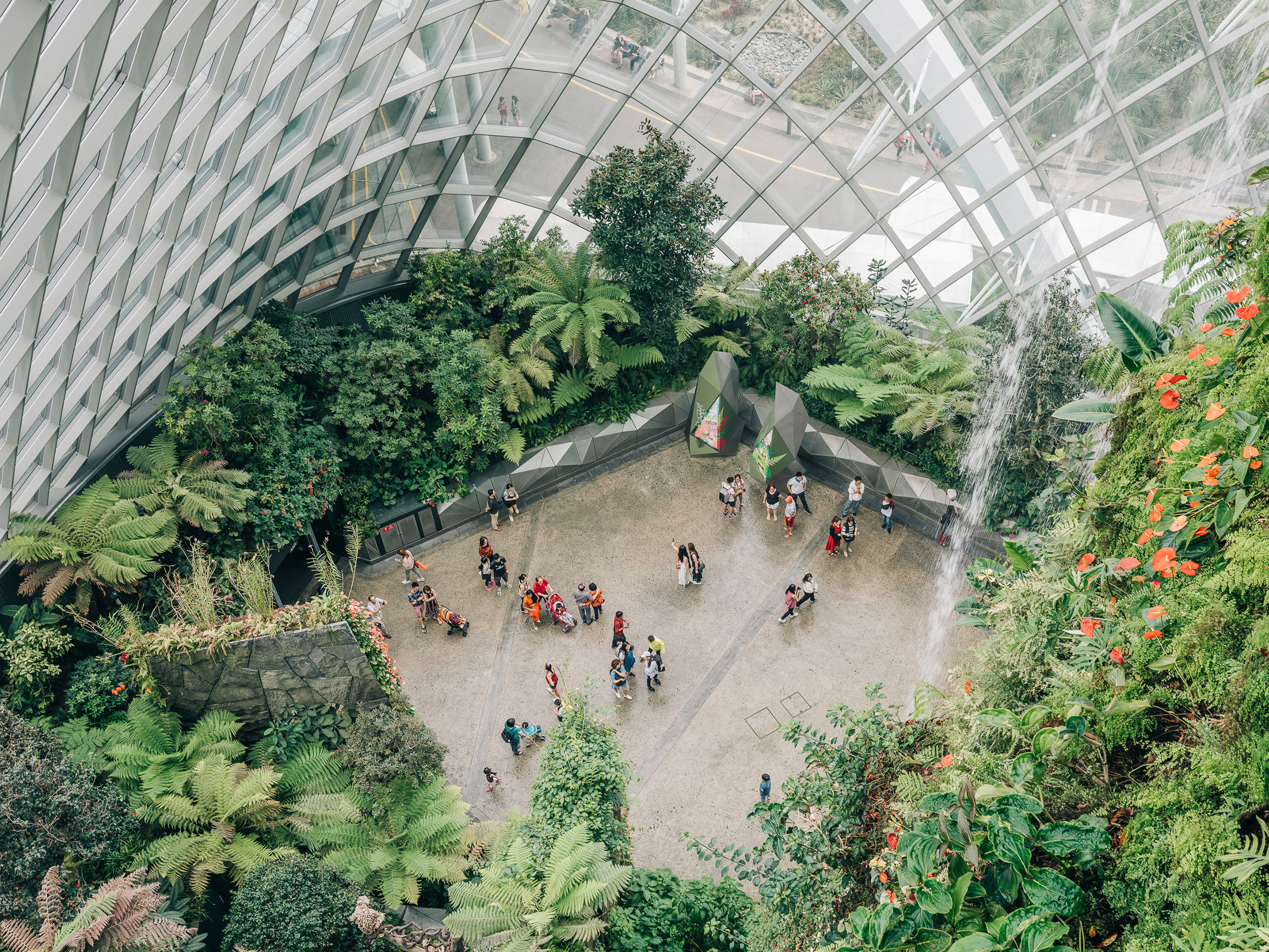 The City in the Forest