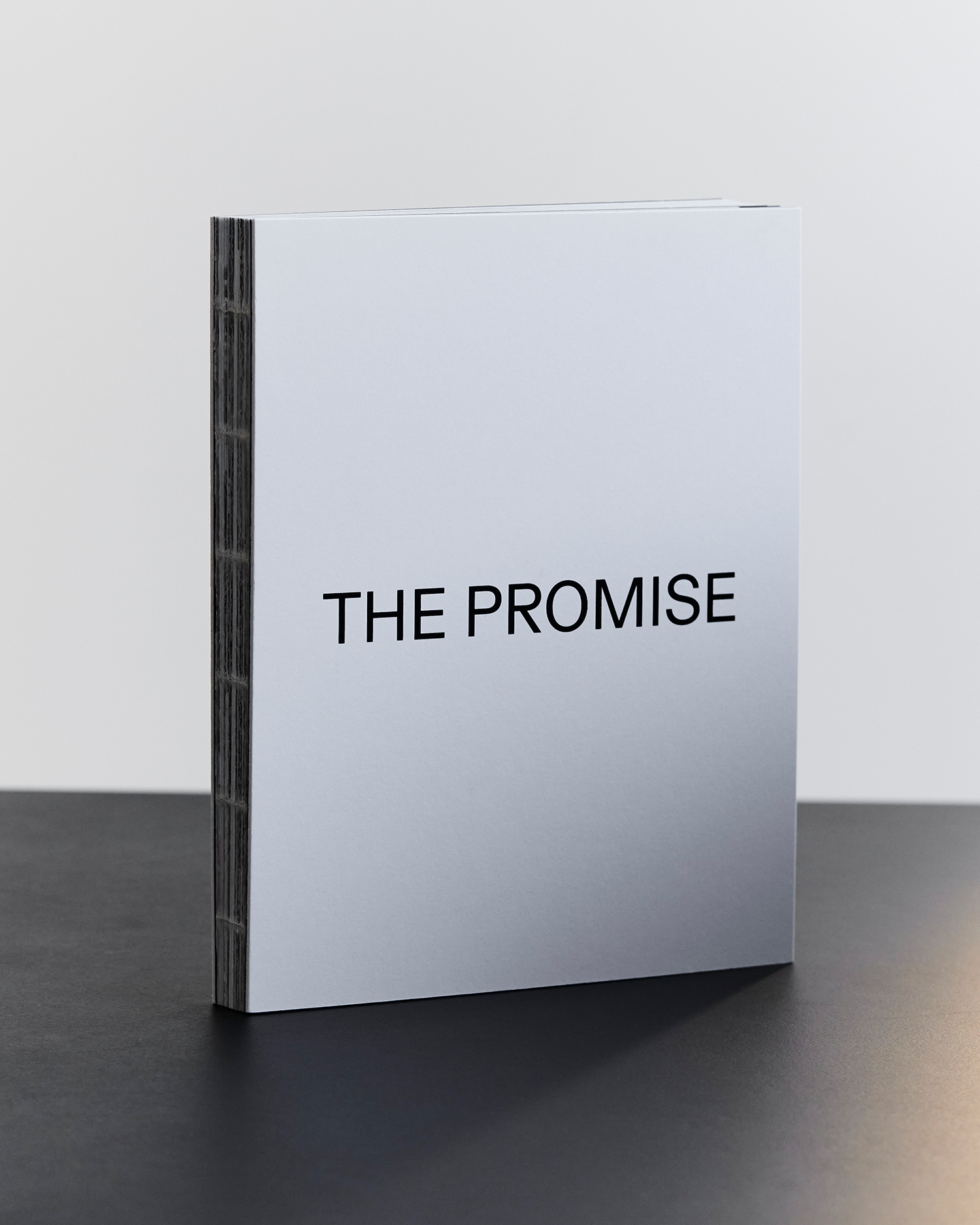 1 - The Promise Cover - 8d2878e7-6c6e-4cc2-967c-9455984e6f91.jpg
