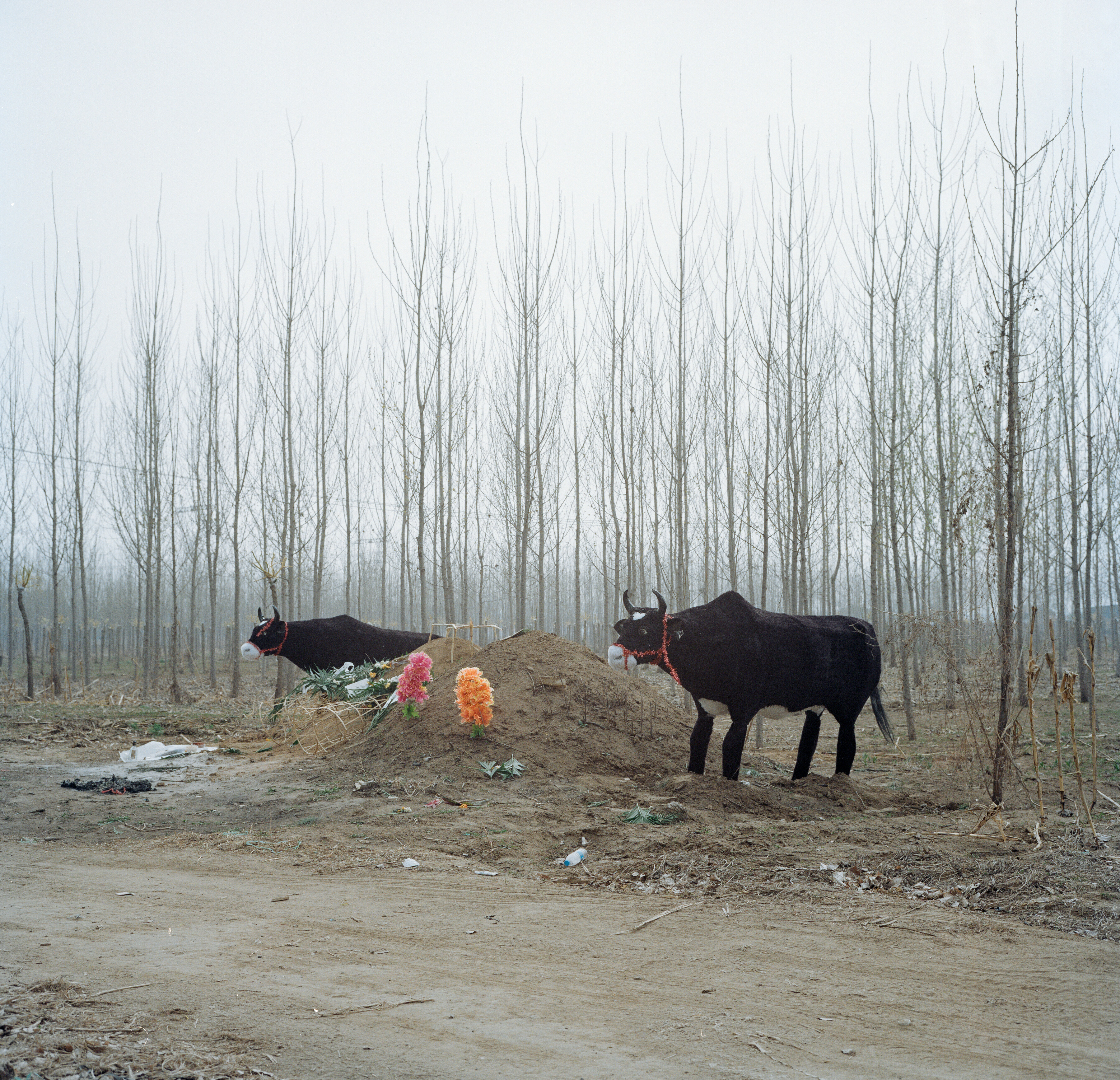 Tangshan City