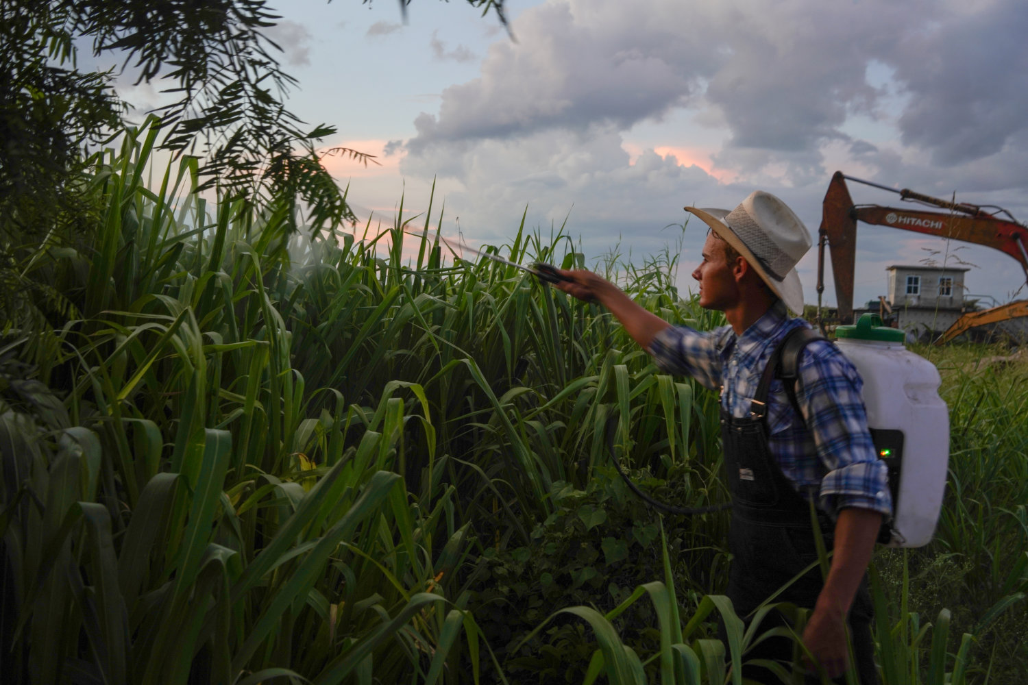 The Mennonites of Bacalar in front of environmental crisis