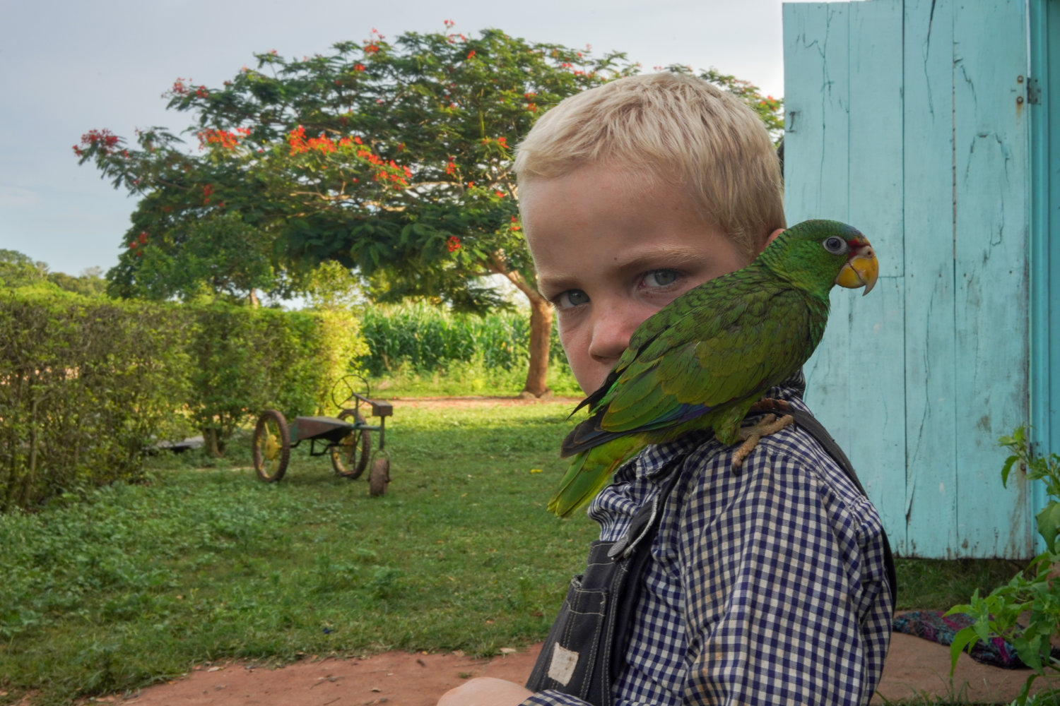 The Mennonites of Bacalar in front of environmental crisis