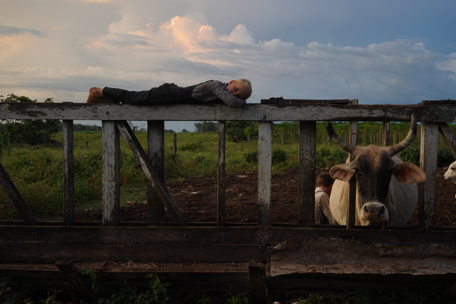 The Mennonites of Bacalar in front of environmental crisis